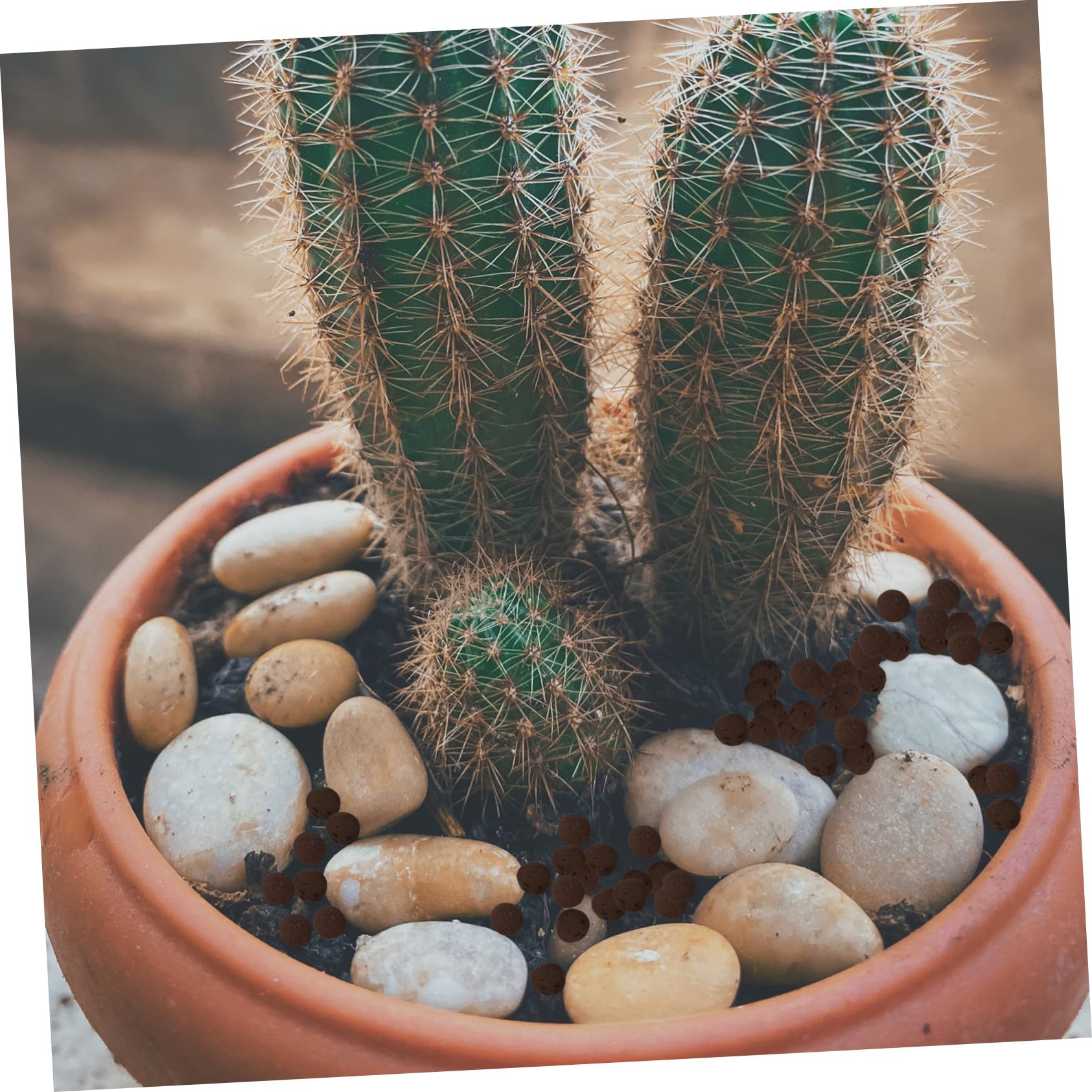 YARNOW Billes Céramiques pour Plantes en Pot, Forte Capacité de Filtration et Protection Croissance des Fleurs, 2 Paquet de 1000g, pour Maison et Bureau