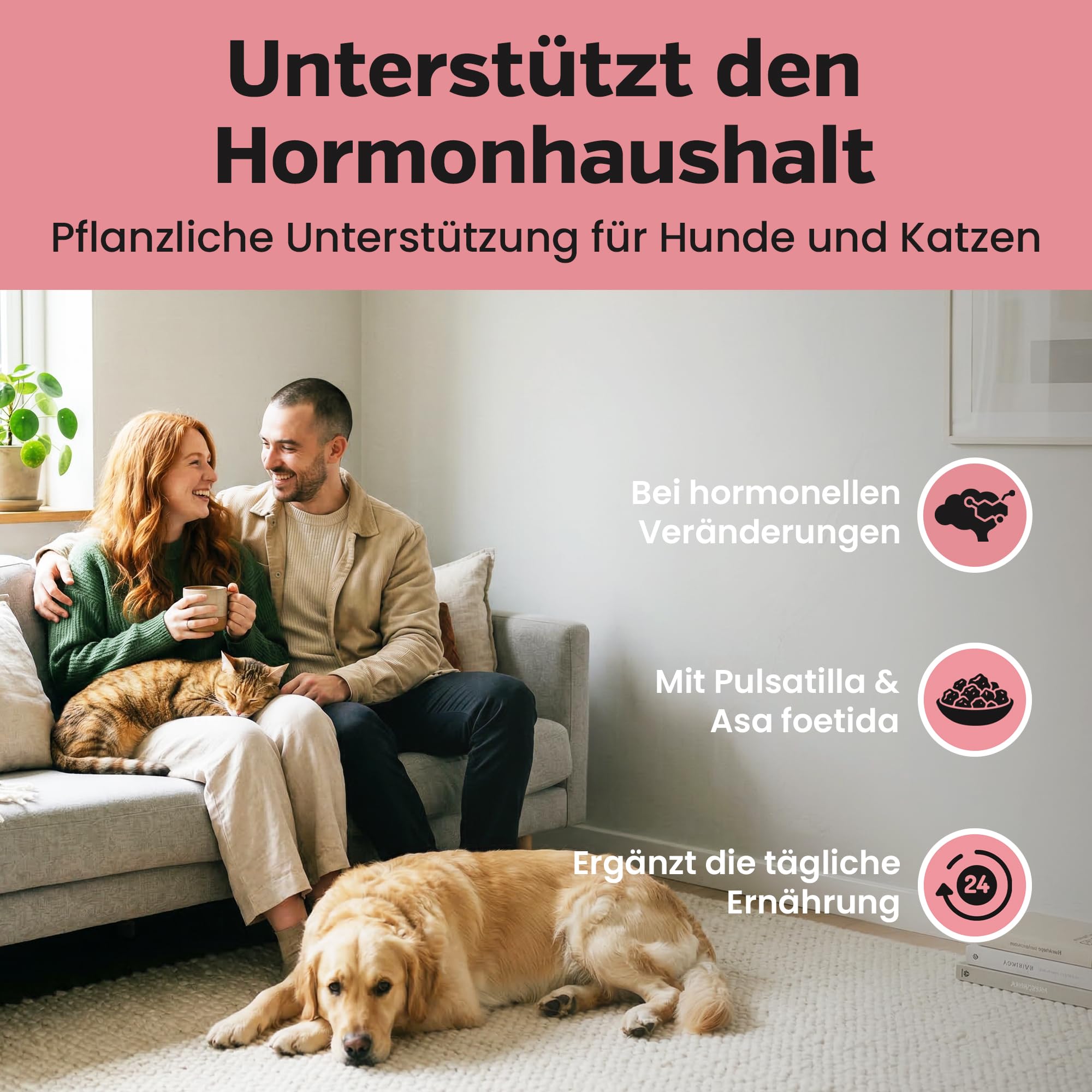 alfavet Pregnostat 100 ml – Ergänzungsfuttermittel für Hunde & Katzen – Zur Unterstützung des Hormonhaushalts – Tonikum mit Zitronenmelisse & Pulsatilla