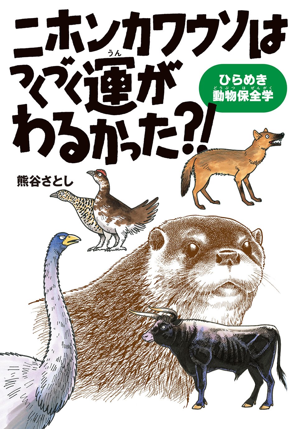 ニホンカワウソはつくづく運がわるかった?! | 熊谷 さとし |本 | 通販