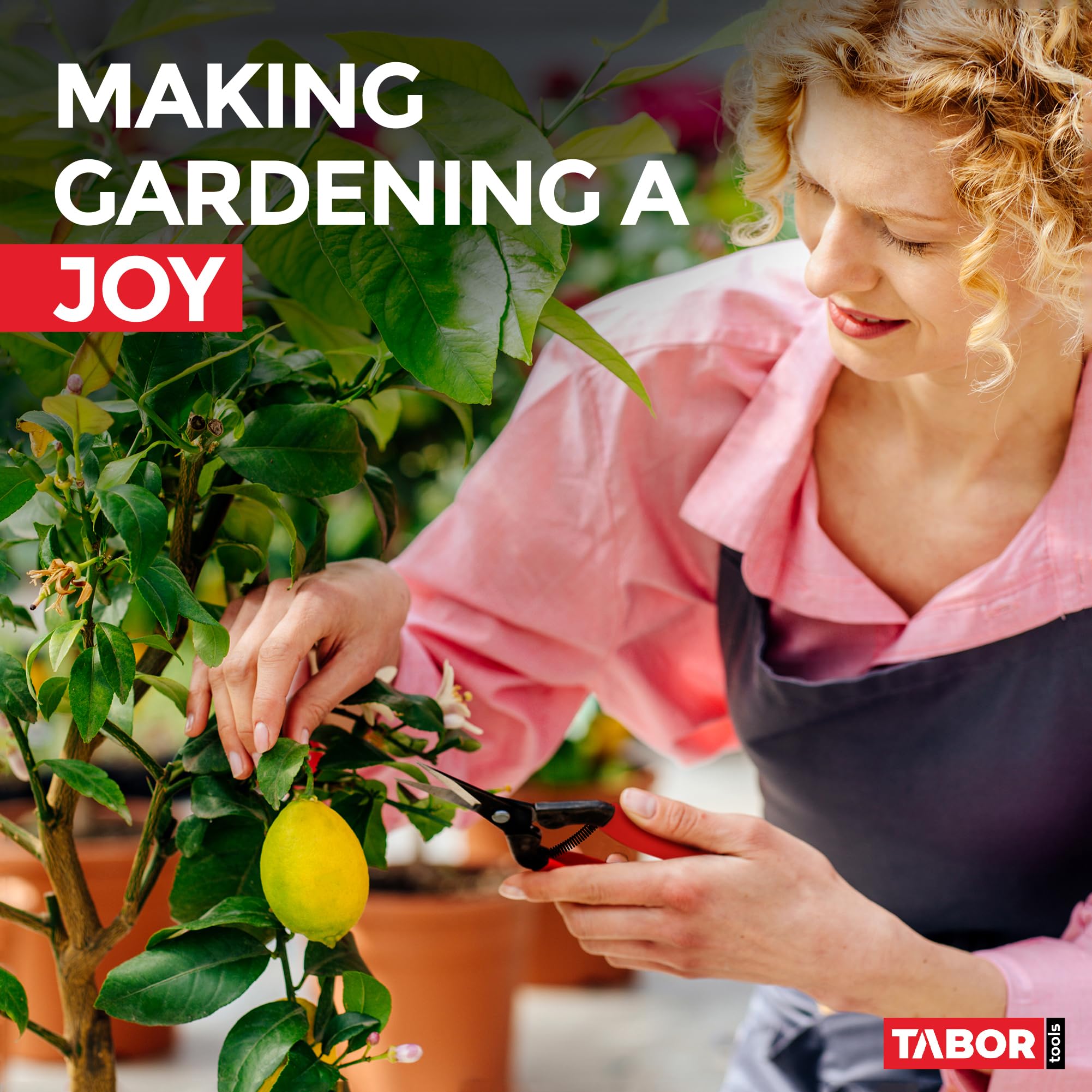 TABOR TOOLS K7E Gerade Gartenschere, kompakte Multi-Gartenschere, Mini-Blumenschere, Floristenschere, Ernteschere, Floristikschere, Leseschere, Traubenschere