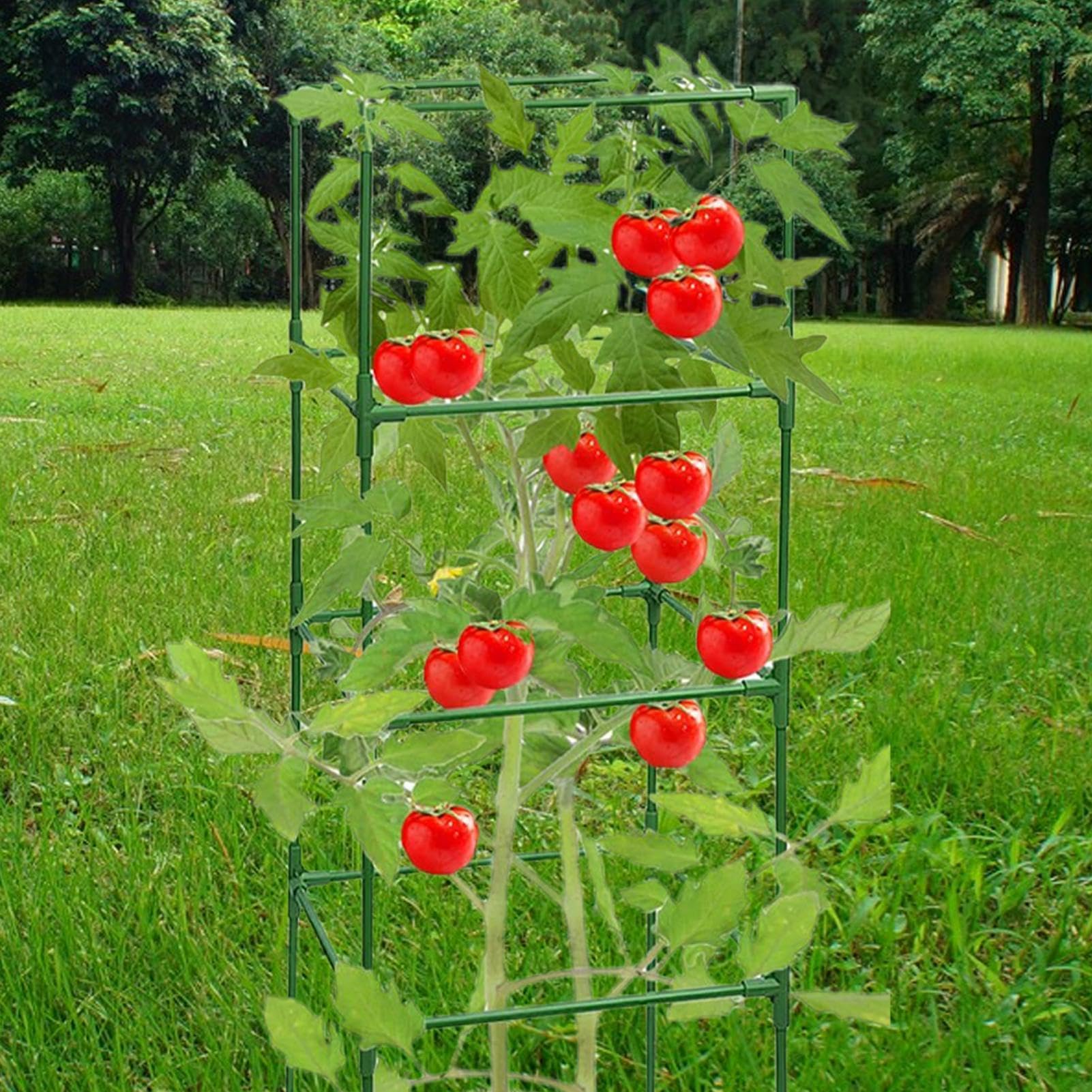 Entutorado para Tomates Soporte Cuadrado Ajustable en Altura de 3 Piezas | Tutor de Plantas Resistente para Judías Pepinos Verduras Rosas Peonías Macetas Bancal Elevado Jardín Patio Césped