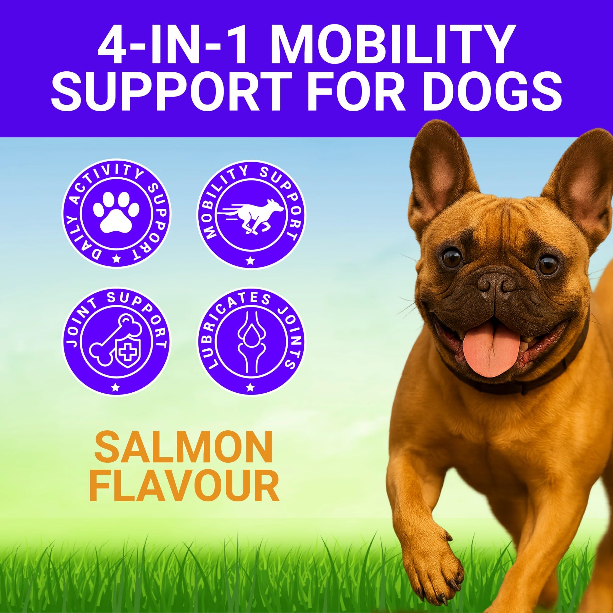 Rockstar Pet Supplements Hip+Joint Soft Chews for Dogs, Salmon - Image 2