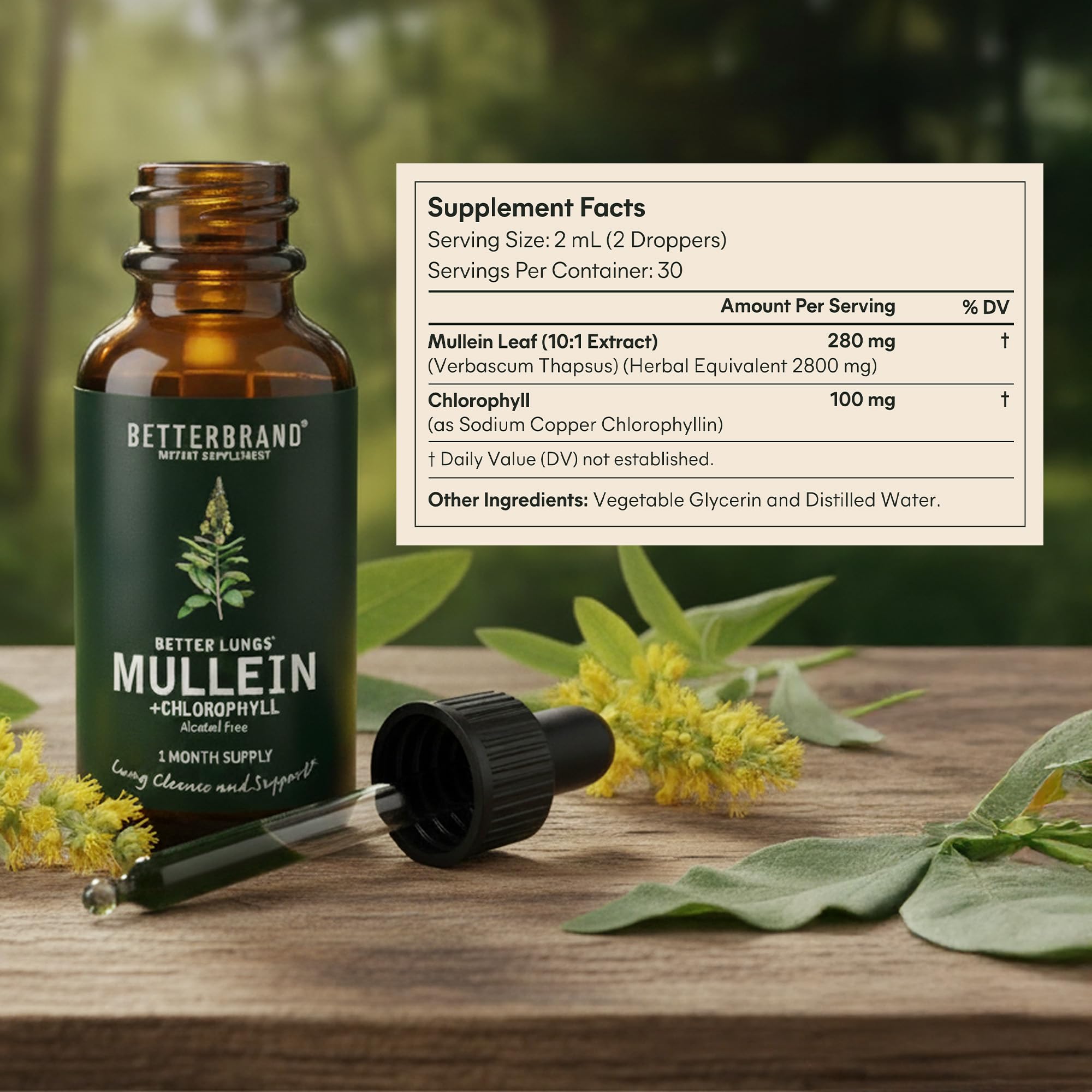 Betterbrand Mullein Drops, Alchohol-Free Lung Detox with Chlorophyll — Amazon image 8