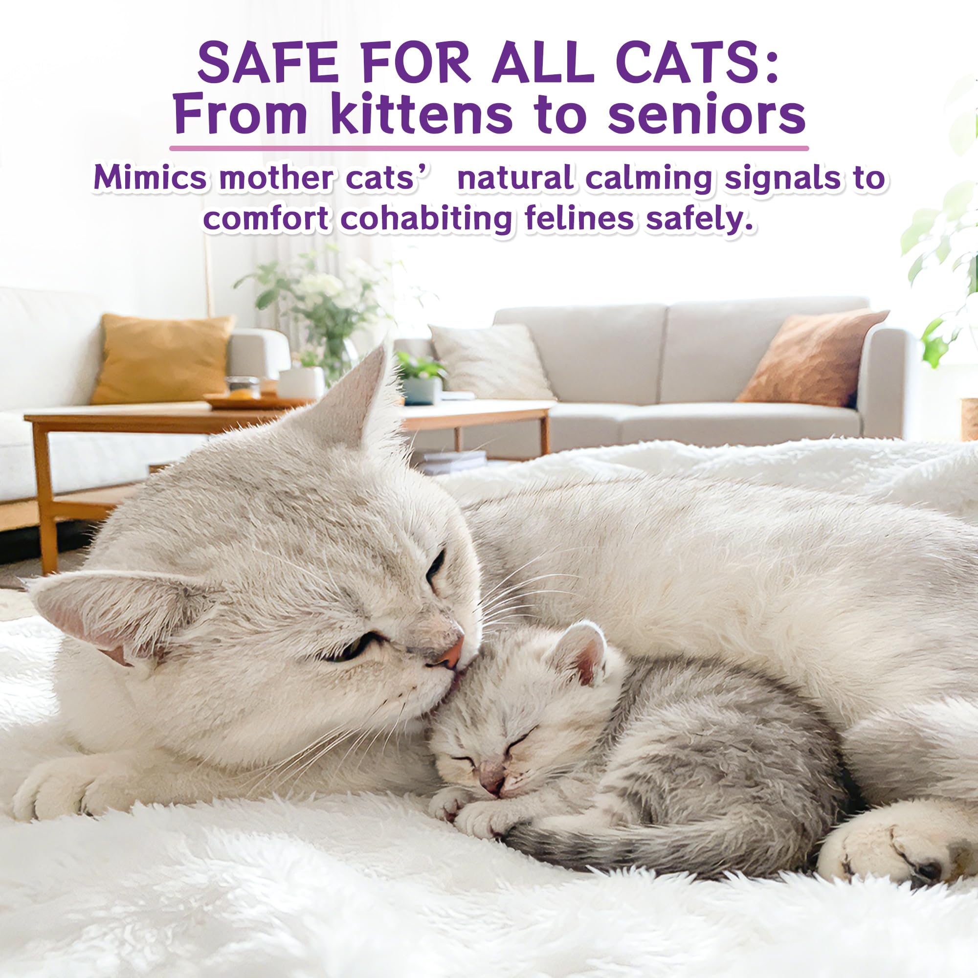 6 In 1 Katze Pheromon Beruhigende Diffusor, Pheromon Diffusor für Katzen, Angst lindern, Helfen, Kämpfe zu reduzieren, Sprühen & Kratzern, Drogenfrei & Geruchlos Sicher (2 Stecker + 4 Refills) 120 Tag