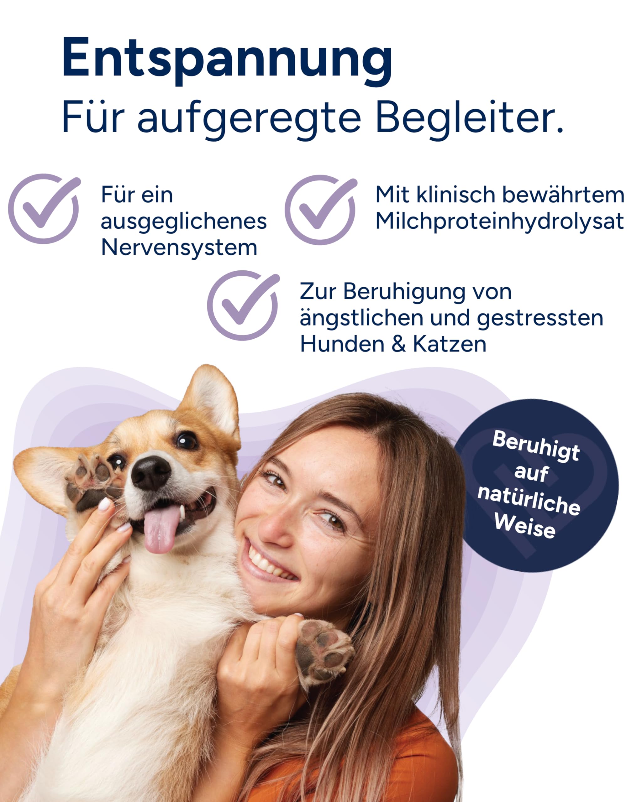 NutriLabs Zilcalm Beruhigungstabletten für Hunde - 90 STK. - mit Milchprotein, Ashwagandha, Probiotika, L-Tryptophan UVM. - Beruhigungsprodukte für Hunde - Nahrungsergänzungsmittel Hund