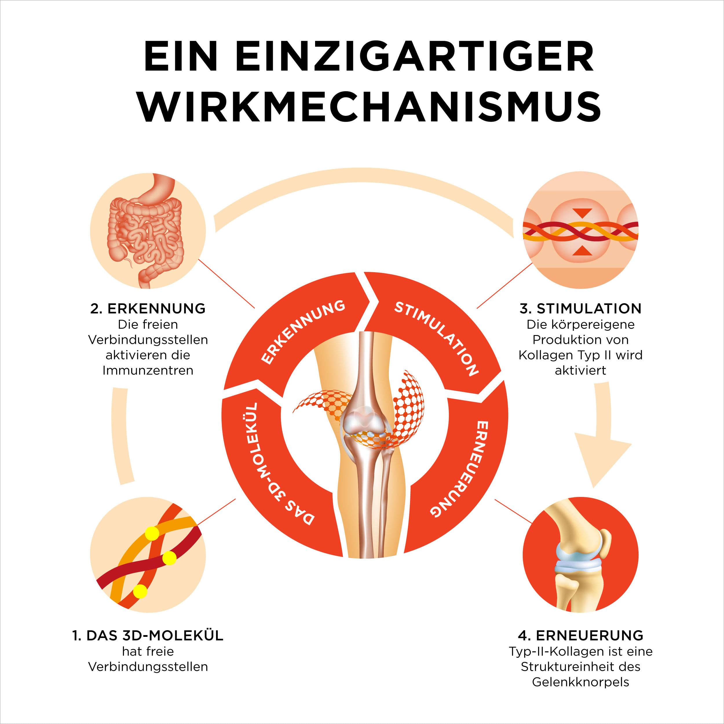 Collanol – Innovation in der Pflege gesunder Gelenke. Flüssige Formel in einer Doppelkapsel 3D- Kollagen + Mizell-Extrakt von Curcumawurzeln 1 Kapsel/Tag. Laborgeprüft (20 Kapseln)