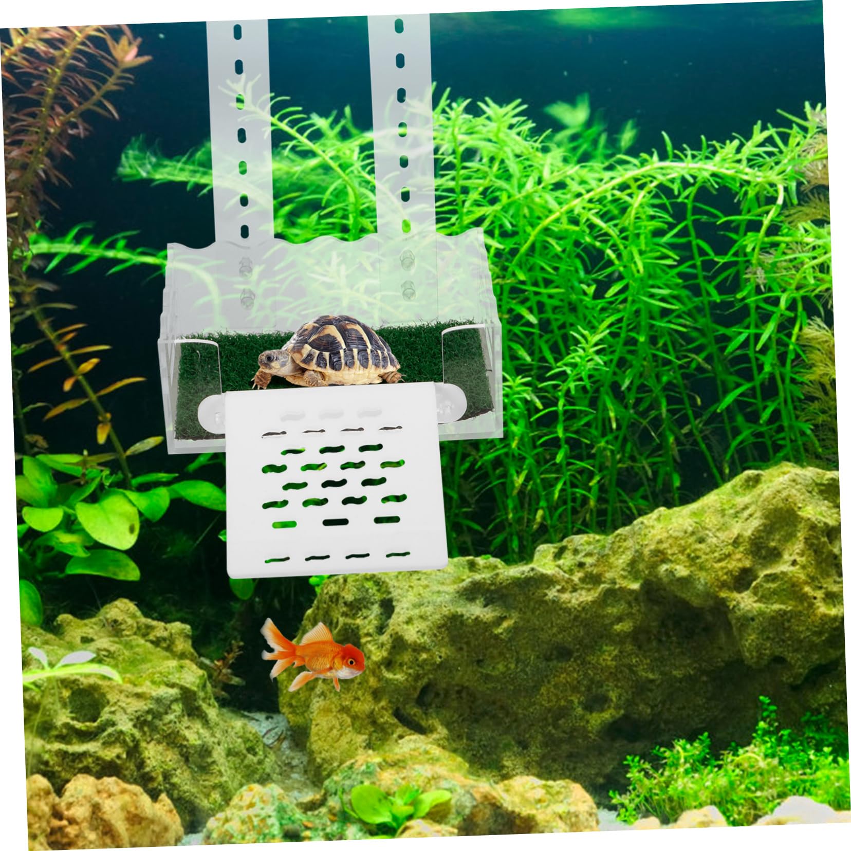 BESPORTBLE 5 Pièces Tortue Coucher De Soleil Plate-Forme d'escalade pour Reptiles Accessoires pour Réservoir De Tortues Rampe d'escalade pour Reptiles Accessoires De Terrarium Acrylique
