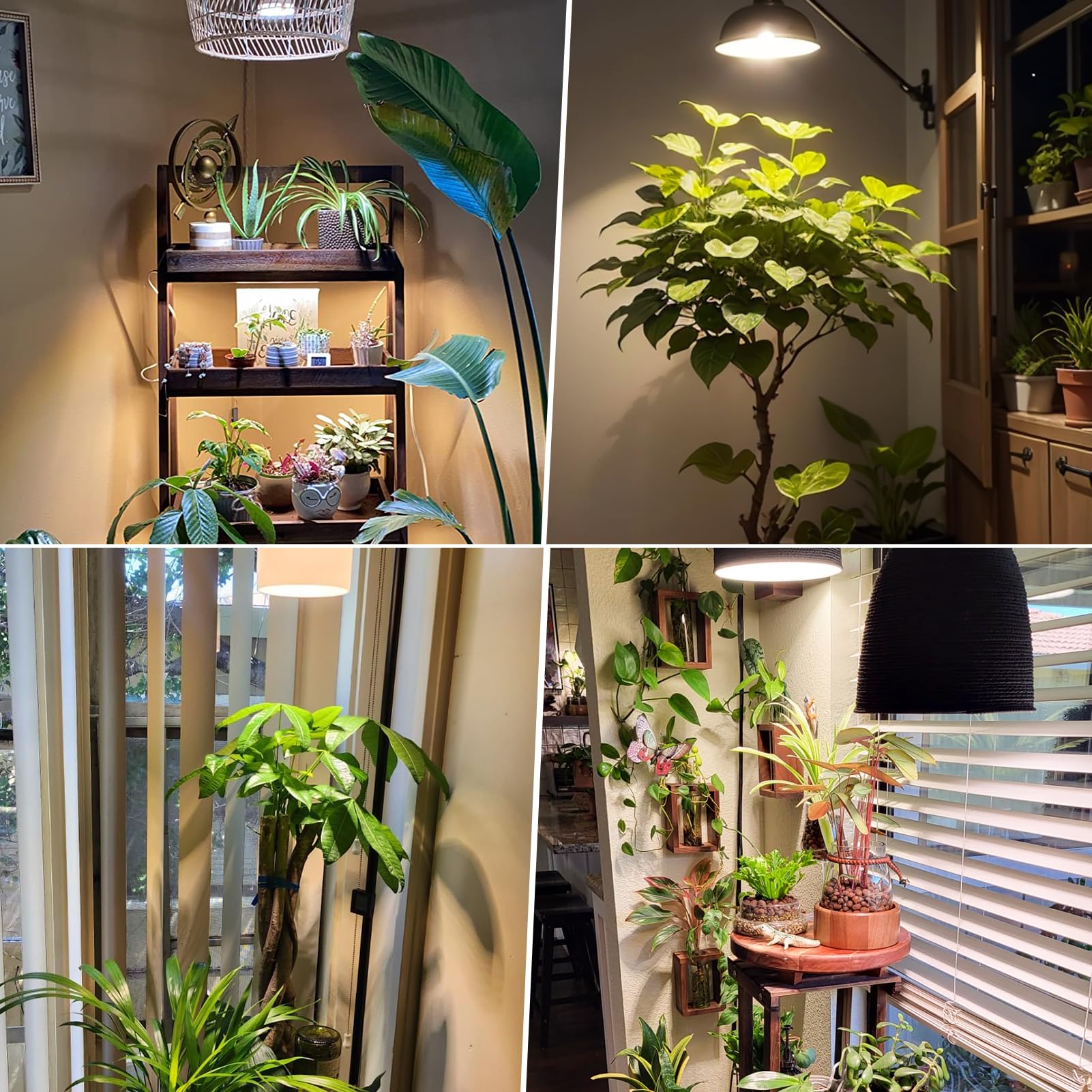 JESLED Lámpara LED de Espectro Completo Para Plantas de 30 W, E27, Luz de Crecimiento de 4100 K Adecuada Para Plantas de Interior, Alto PPFD Adecuado Para Verduras, Frutas, Plantas Y Flores