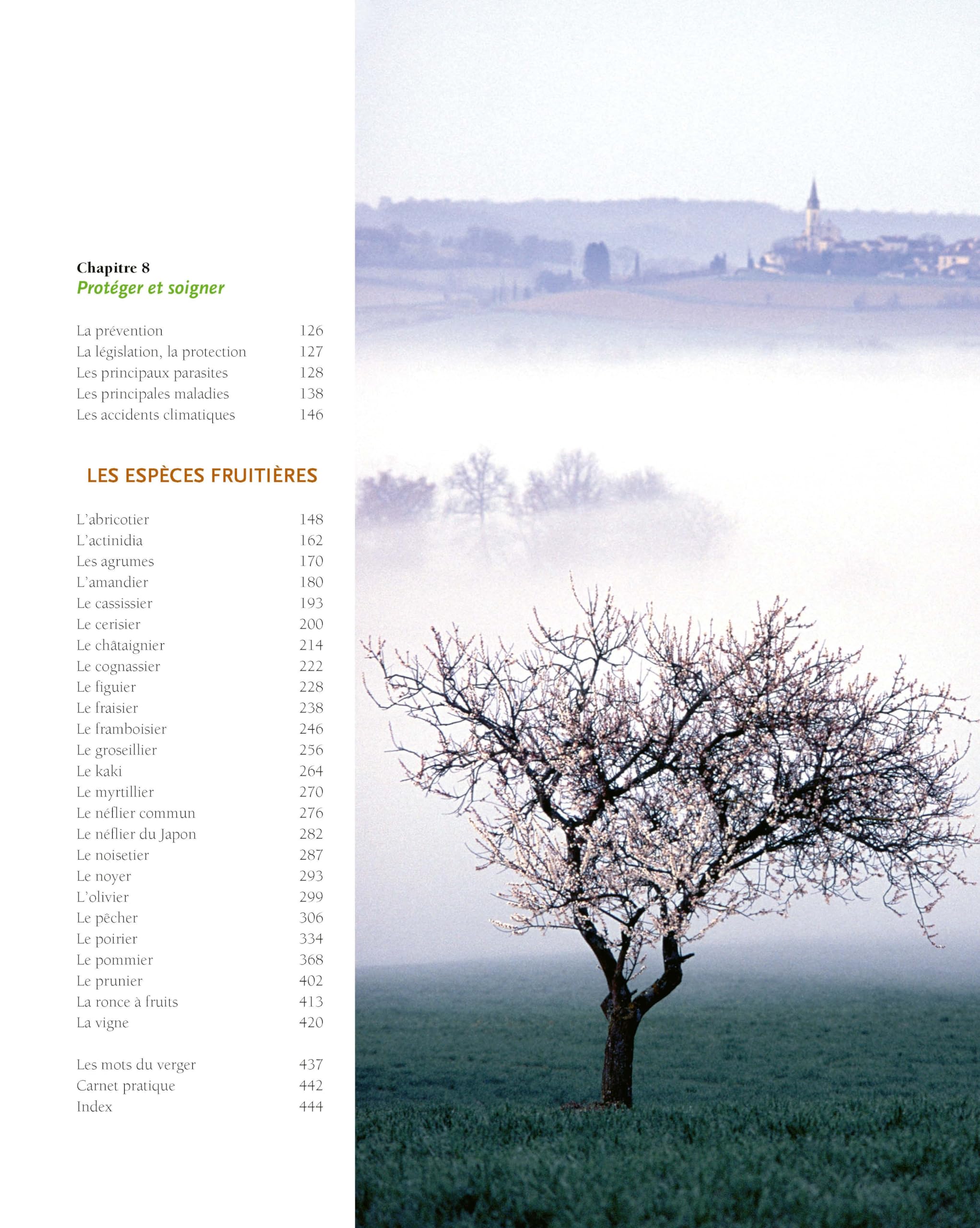 Le traité Rustica des arbres fruitiers