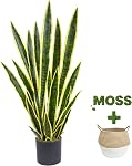 Warmplants Plante artificielle de serpents, 3ft Faux Sansevieria avec Panier, 35" Fausse mère en droit plantes, Faux parfaits pot de plantes Greenery pour la maison intérieure de bureau magasin de décoration réaliste (jaune)