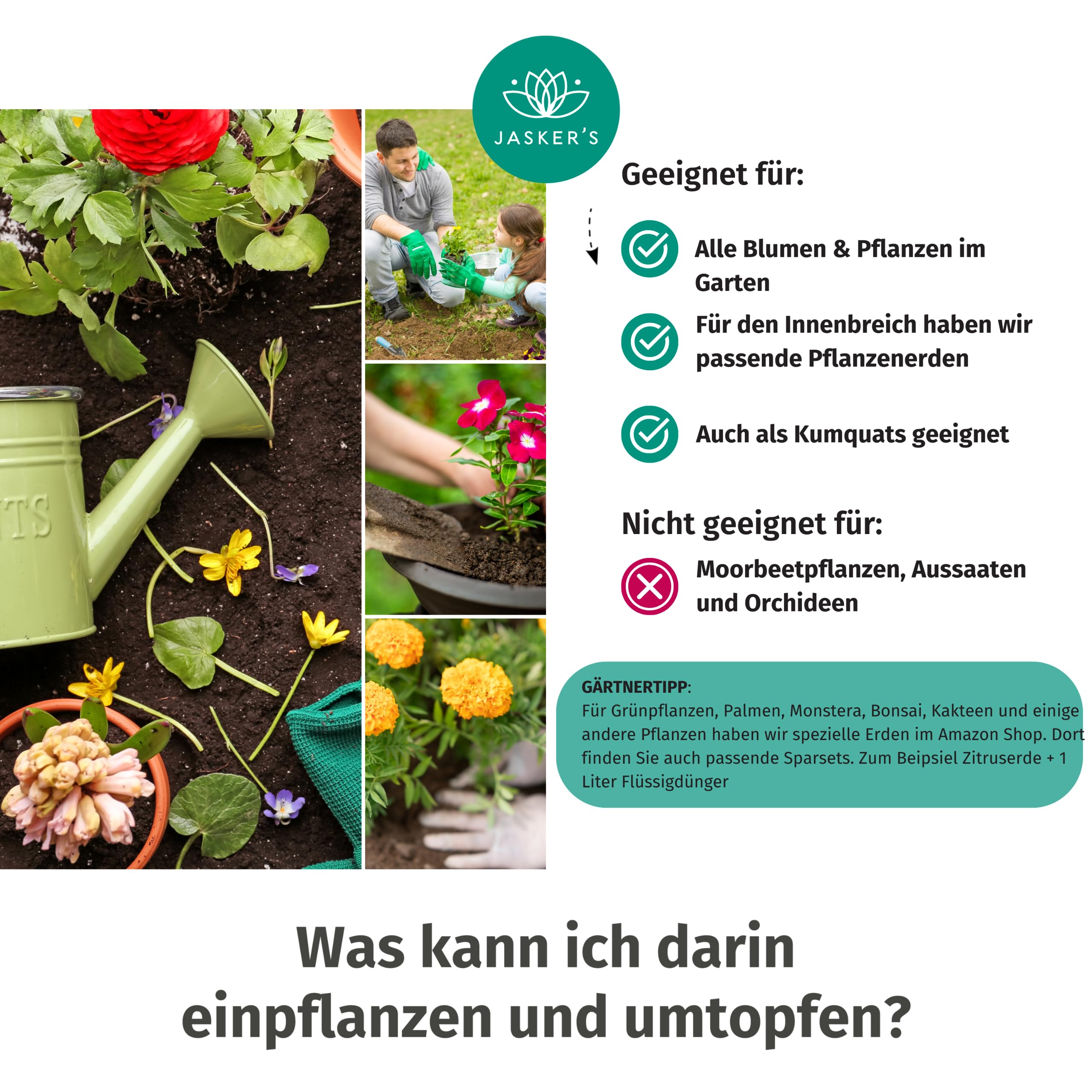 Blumenerde 10 L Torfreduziert – Universal- & Pflanzerde Mit Ton, Für Zimmerpflanzen, Balkon & Kübel