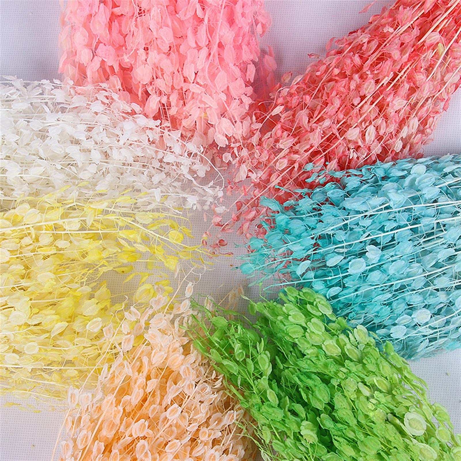 Fleurs séchées naturelles 60-80g, bouquet de fleurs de ventilateur vert séché naturel, plante réelle éternelle arrange fleurs sèches pour la décoration de la table de mariage Décoration de fête de mar