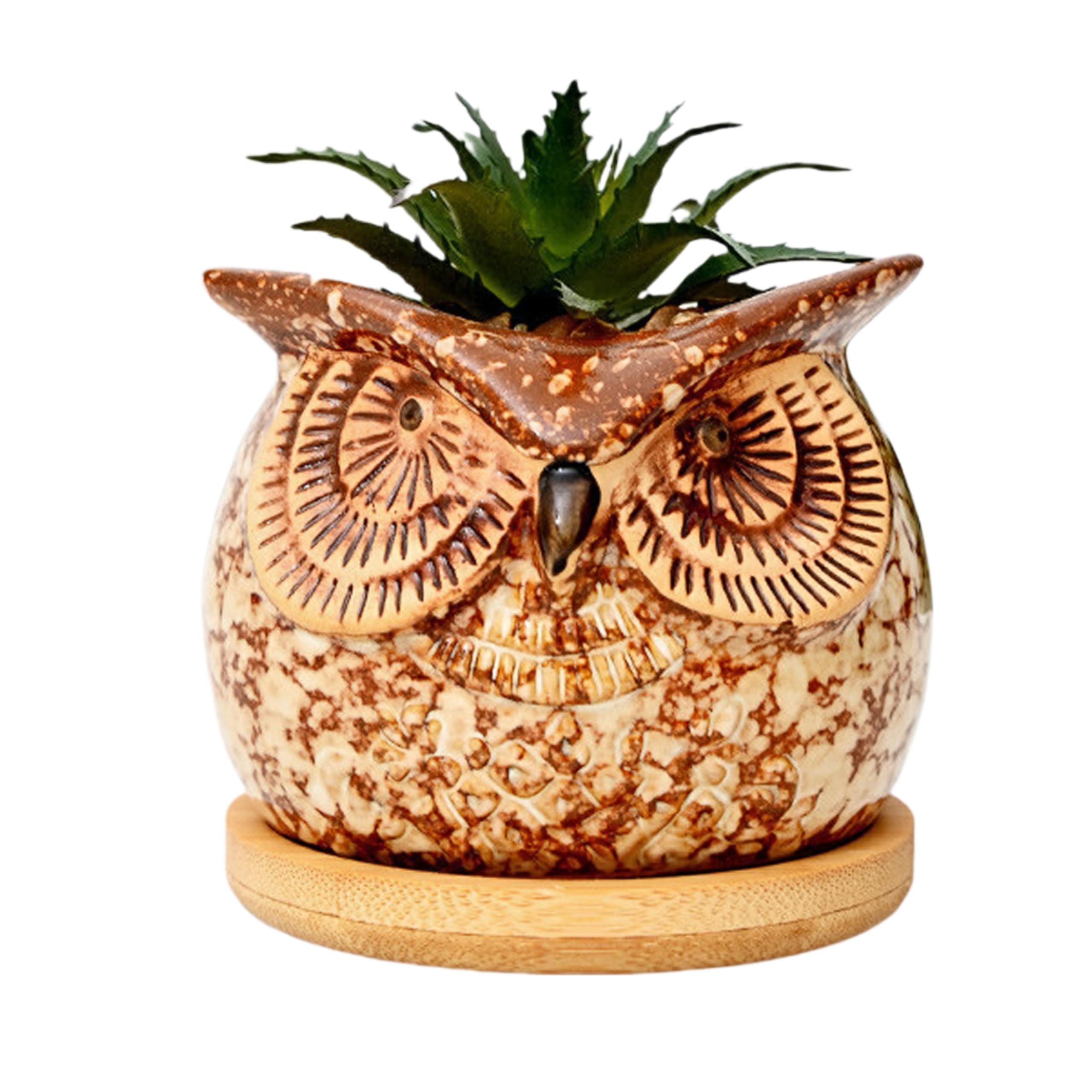 Cuteforyou Cute 3.15 Inches Cartoon Animal Owl Shaped Succulent Cactus Indoor Flower Pots Planterfor Home Garden Office Desktop Decoration - Plants Not Included (1)