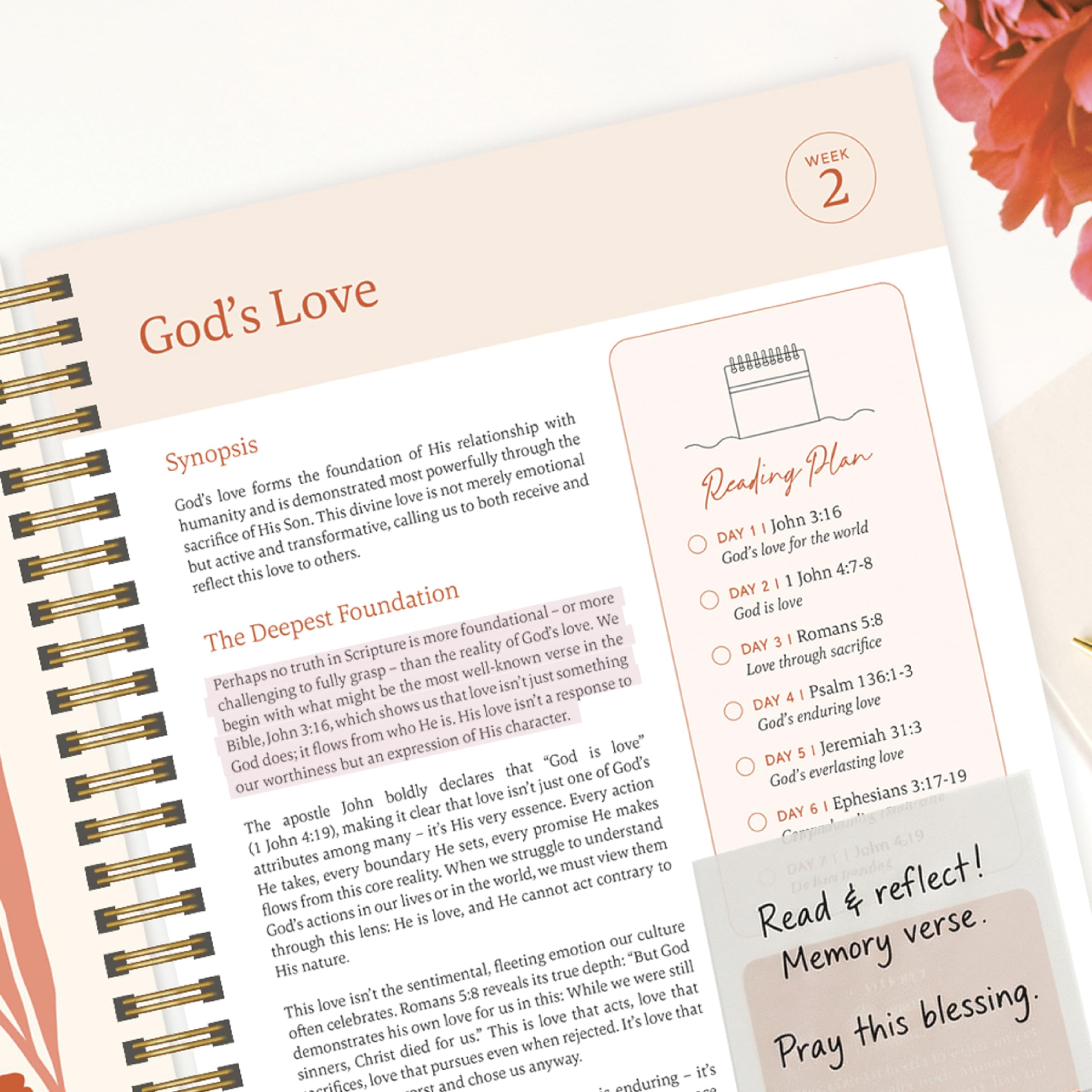 Official Spiral Bible™ Bible in a Year Essentials Bundle de tapa dura | Plan de lectura guiado de 365 días con guía de estudio, resaltadores pastel, bolígrafos y notas adhesivas transparentes para
