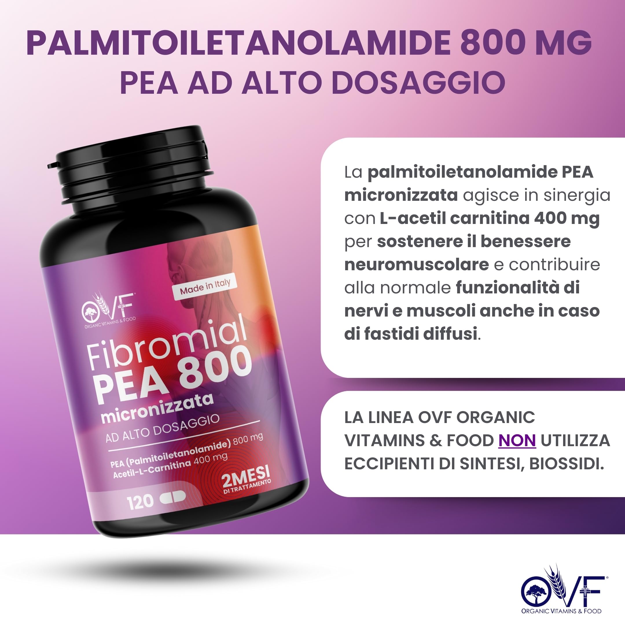 OVF Fibromial PEA 800 120cps Integratore Naturale 100% con Palmitoiletanolamide 800 L Acetil Carnitina 400 Senza Eccipienti, Supporto al Benessere di Nervi e Muscoli per Disturbi Diffusi Made In Italy