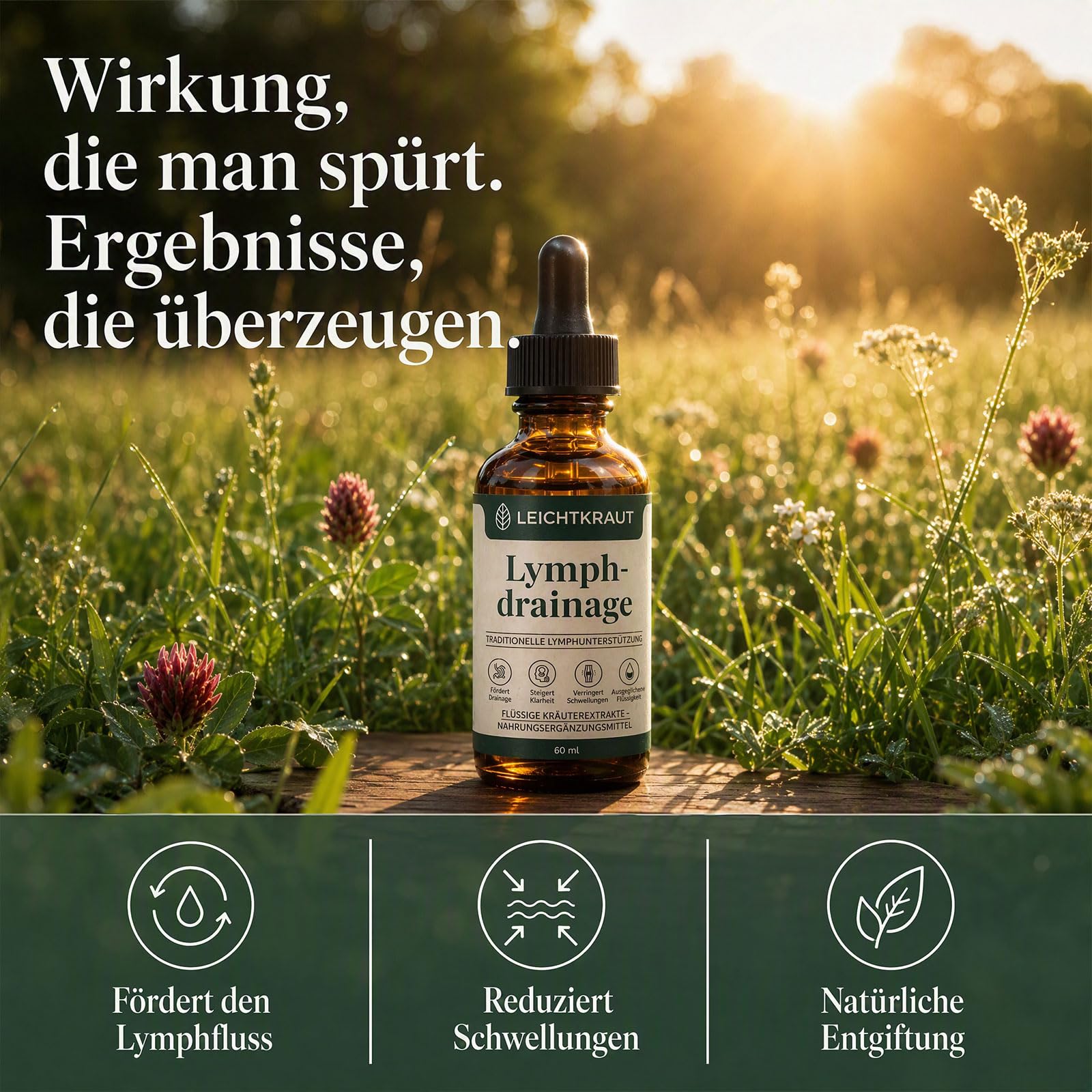 Leichtkraut Lymphatische Tropfen,2026 Leichtkraut Lymphdrainage Entgiftung，2 PCS