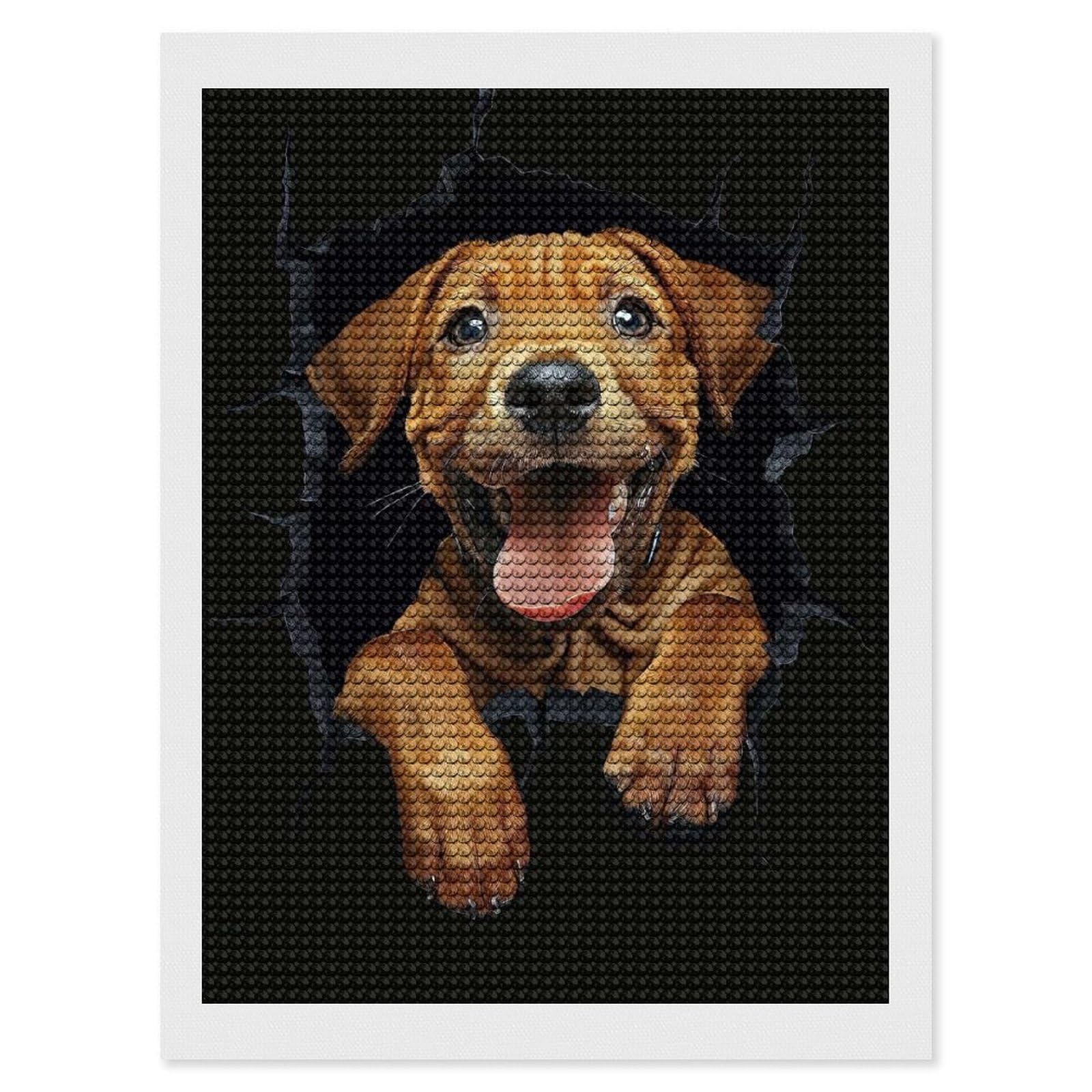 Junmoney Rhodesian Ridgeback DIY Diamond Art Canvas Kit 12"x16", Adhesive Canvas, Easy to Enjoy, Farmhouse Decor, Festive Craft Gift