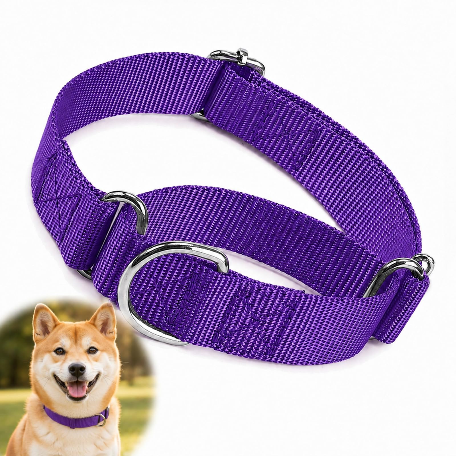 Durable Nylon Choke Collar for Medium Dogs, Gentle Training Anti-Pull Design with Adjustable Buckle, Lightweight D-Ring for Daily Walks, Secure Fit, Purple Colour, 10-19 Inch Neck Size
