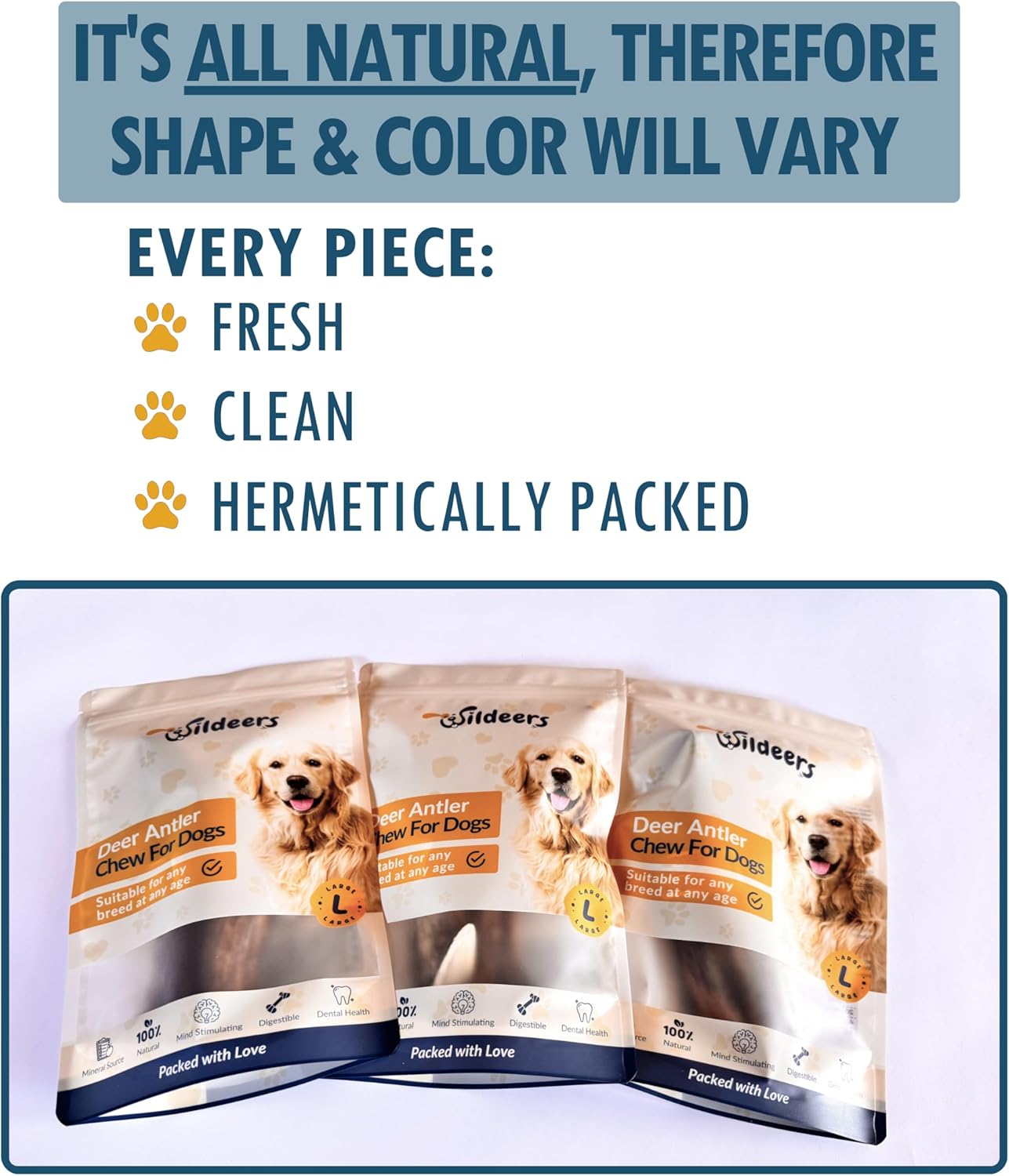 Wildeers Large Deer Antlers for Dogs - Premium Dog Antler Chews - Made in USA, Naturally Shed, Healthy Chew Treat - Grade A, 7-9 in, 2 Pieces, Long Lasting Antler Chew Bones for Aggressive Chewers