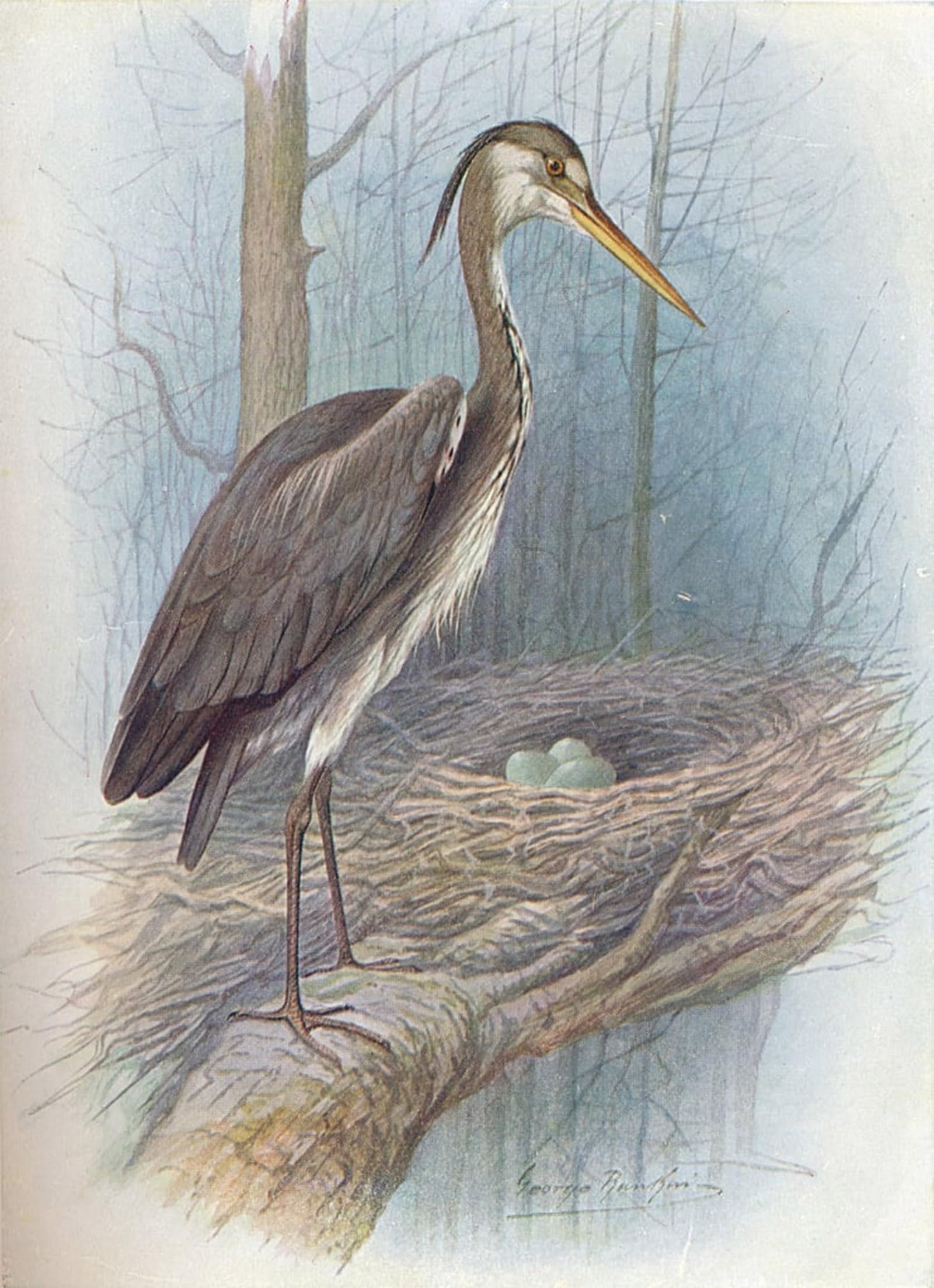 RZHRHJES Abstract Painting Poster Art Print Canvas Print Poster Heron Ardea Cinerea by George Rankin Landscape Canvas Painting for Office Decor 60x90cm