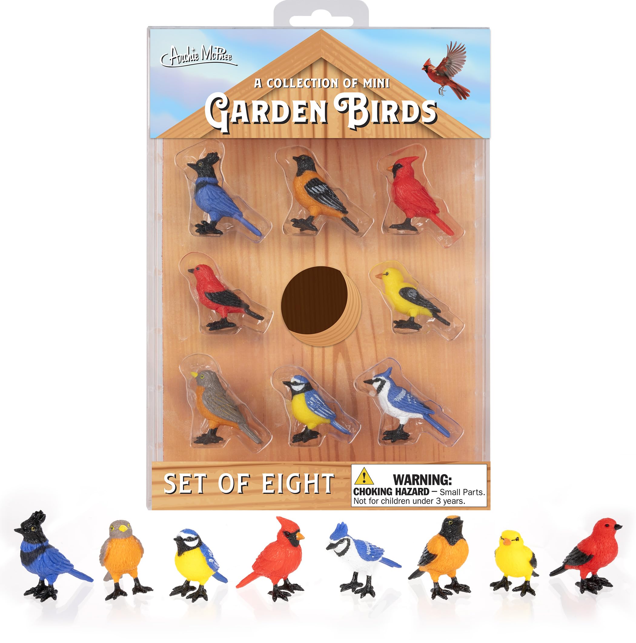 Amazon.com: Accoutrements Archie McPhee Mini Garden Birds