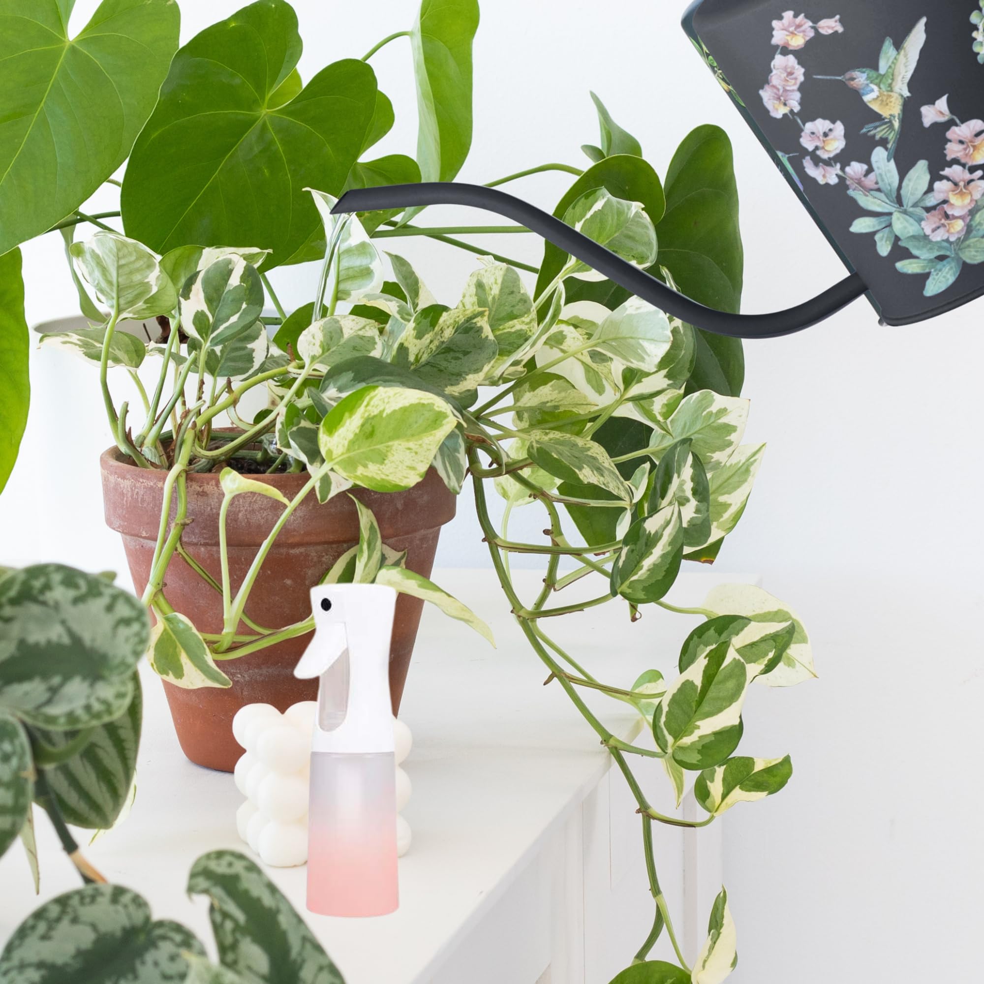 Arrosoir Pour Plantes D'Intérieur Avec Long Bec En Acier Inoxydable