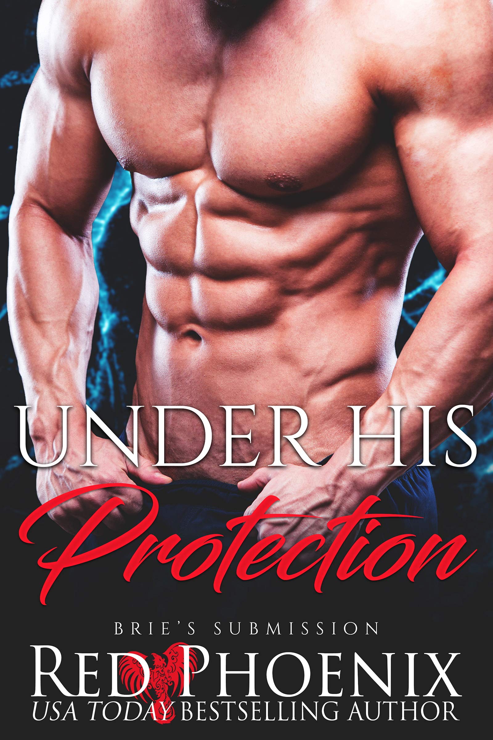 Under His Protection (Brie's Submission Book 14) Kindle Edition