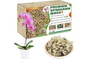 Legigo Reptile-Safe Sphagnum Moss: A Haven for Your Scaly Friends