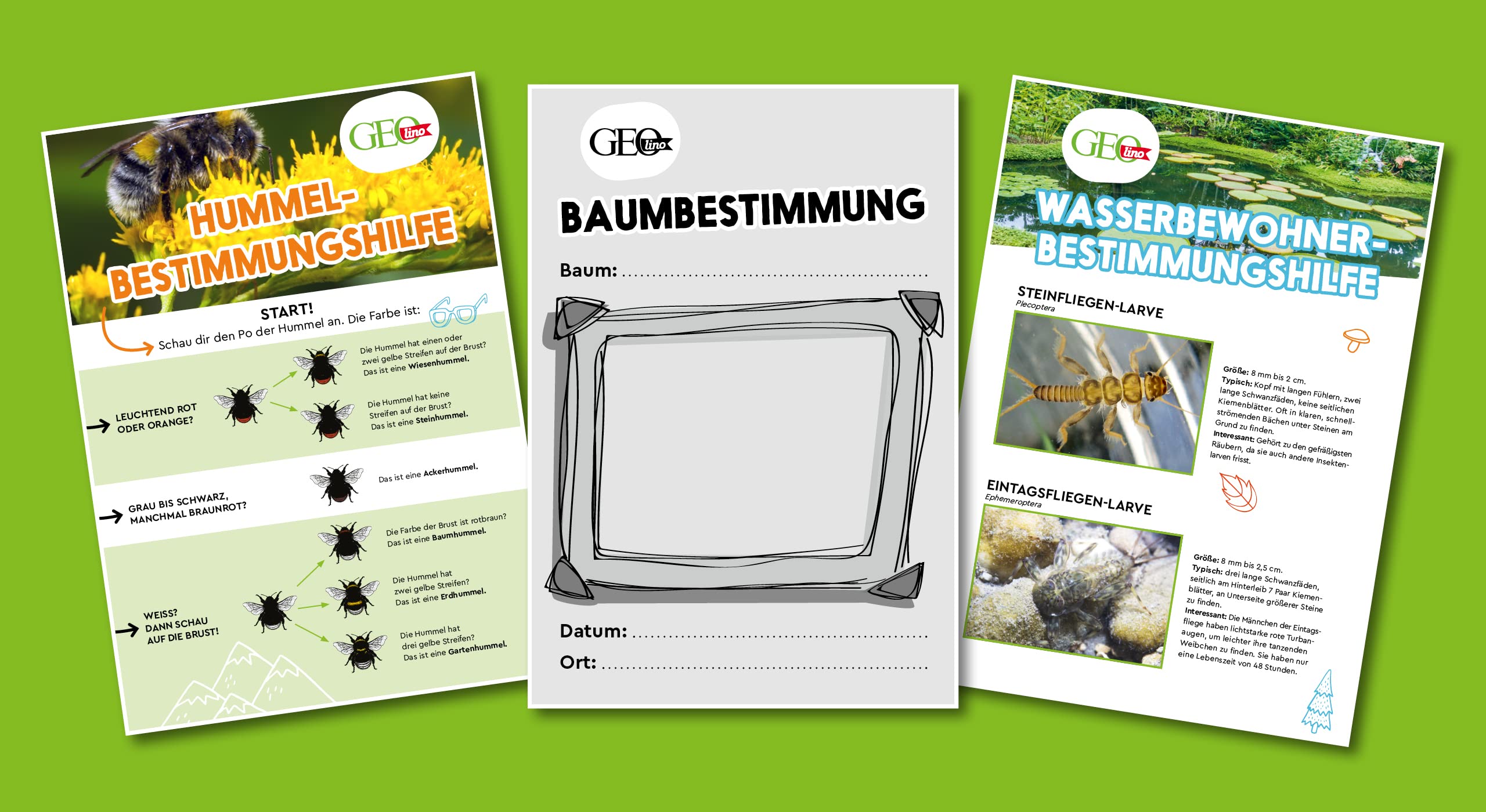 Franzis 67142 - GEOlino Natur entdecken und erforschen - Experimentierkasten mit 42 spannenden Ideen und Experimenten für Kinder ab 8 Jahren, inkl. 60-seitigem Handbuch mit Anleitungen und Zubehör
