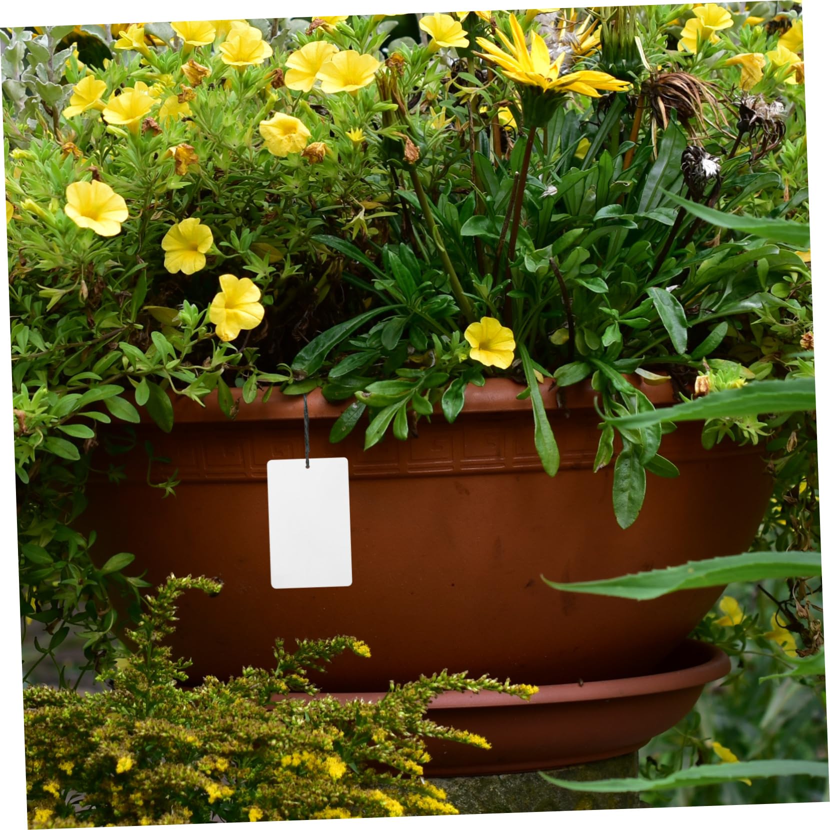SUPVOX 250pièces Étiquettes De Plantes Aluminium Pour Jardinage Extérieur Et Intérieur Étiquettes Pour Et Pour Pépinières Et