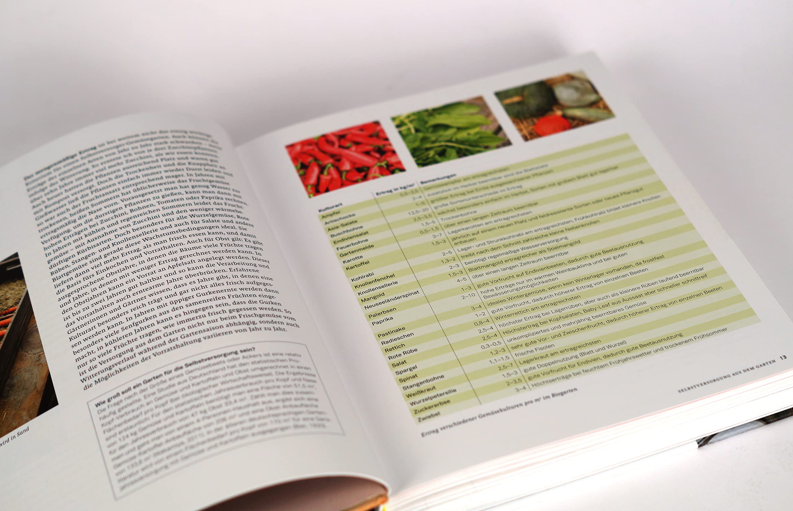 Praxishandbuch natürlich Konservieren: Vorrat aus Gemüse, Obst und Kräutern das ganze Jahr genießen. Alle Methoden & einfache Rezepte zum Haltbarmachen: Marmeladen, Chutneys, Relish, Pickles.