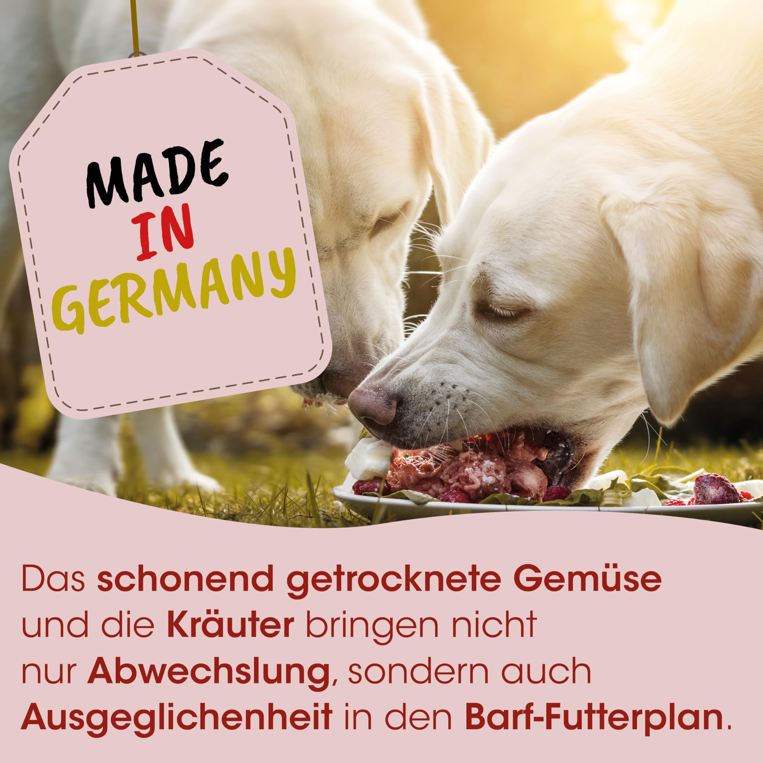 Fit-BARF Sensitive für Hunde & Katzen 2kg