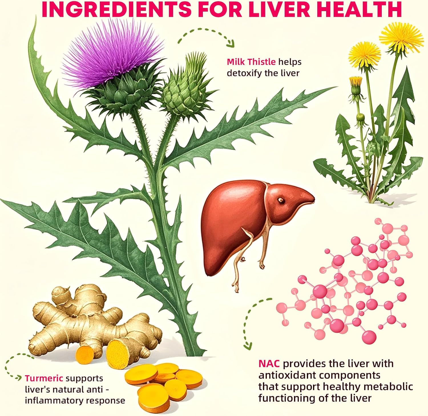 Milk Thistle Liver Detox Gummies: Sugar-Free Milk Thistle Supplement 1000mg with Turmeric NAC and Folate for Liver Cleanse Detox & Repair and Antioxidant Support Non-GMO Gluten-Free Herbal Supplement - Image 4