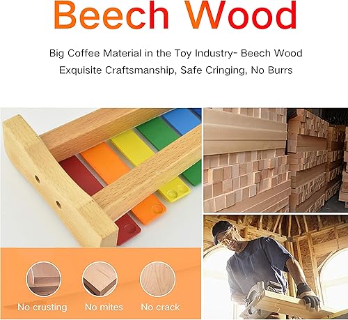 Miniatura 21 de MUSICUBE Xilófono para niños, xilófono de madera con mazos, instrumento de música Orff para educación preescolar, kit de percusión para bebés