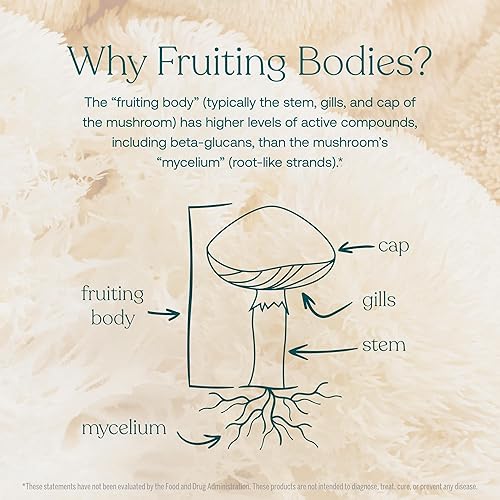 Miniatura 4 de True Grace Mushroom Lion's Mane Brain, Nervio & Cognitive Support - 60 cápsulas - Orgánico