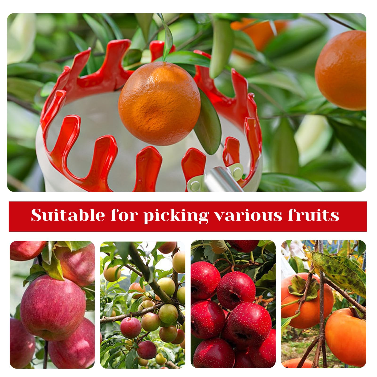 Raccoglitore di Frutta con Manico Telescopico,Raccoglifrutta con Palo in Acciaio Inox Leggero,Bastone Raccogli Frutta,Portatile,per Limoni Mele Pere Pesche Arance Bacche