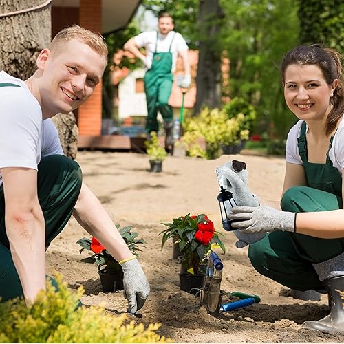 Miniatura 8 de Estatua solar de jardín para perros con luz de linterna, estatua de perro al aire libre de 9.2 pulgadas para decoración de patio, jardín, bonito