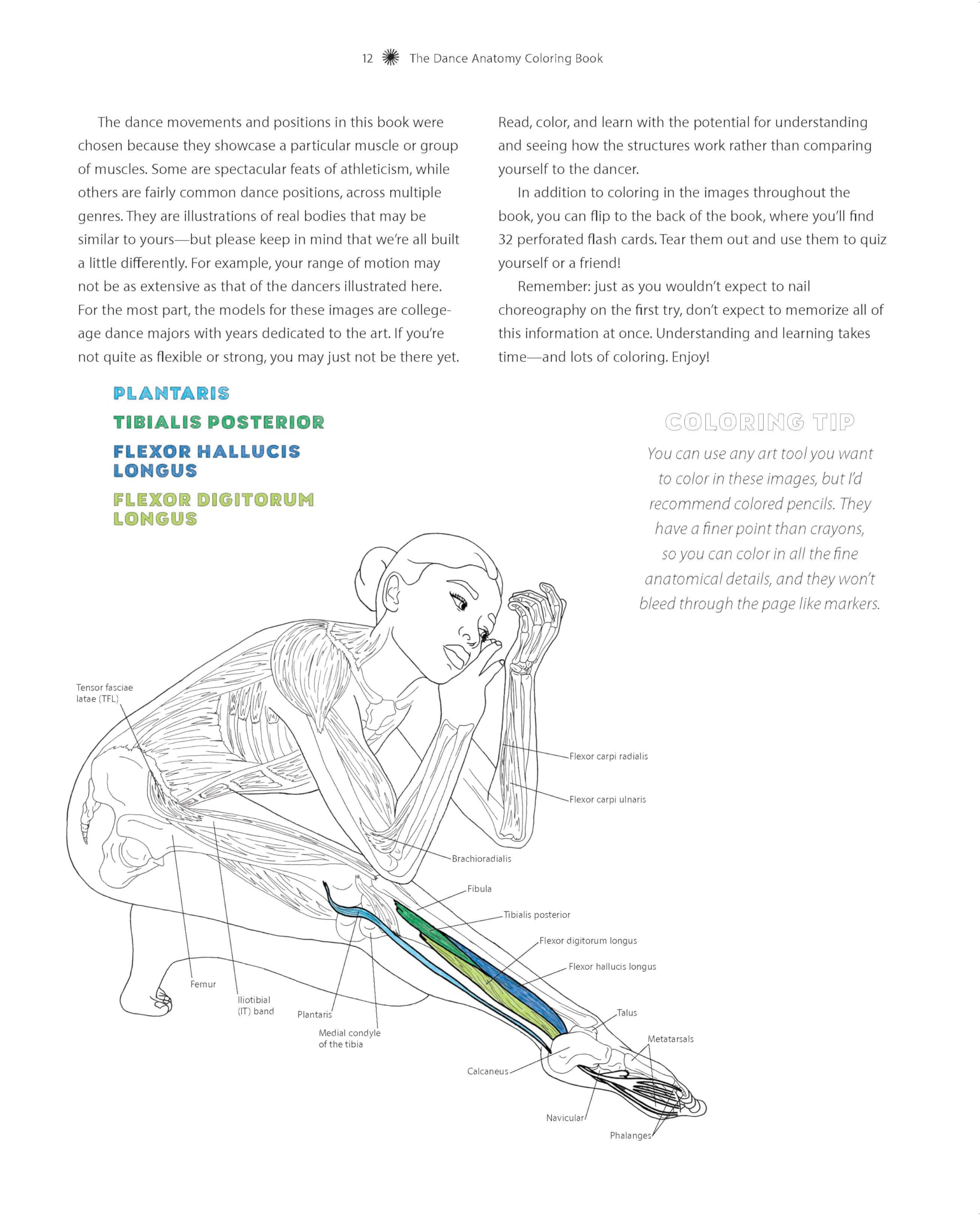 The Dance Anatomy Coloring Book: A Visual Guide to Form, Function, and Movement (Get Creative, 6)