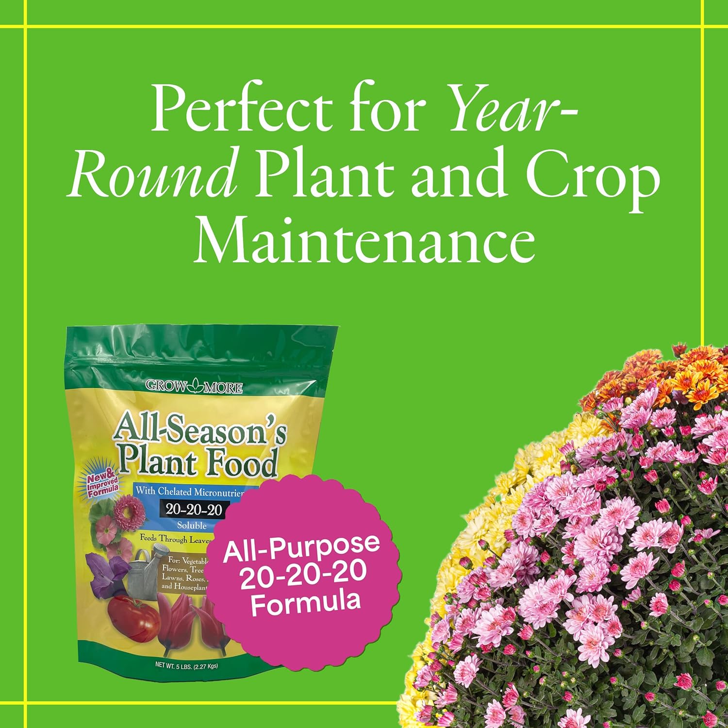 Grow More All-Season's Plant Food (20-20-20 Fertilizer) - 5lbs of All Purpose Fertilizer - Water Soluble Food for Houseplants & Outdoor Plants with Chelated Micronutrients