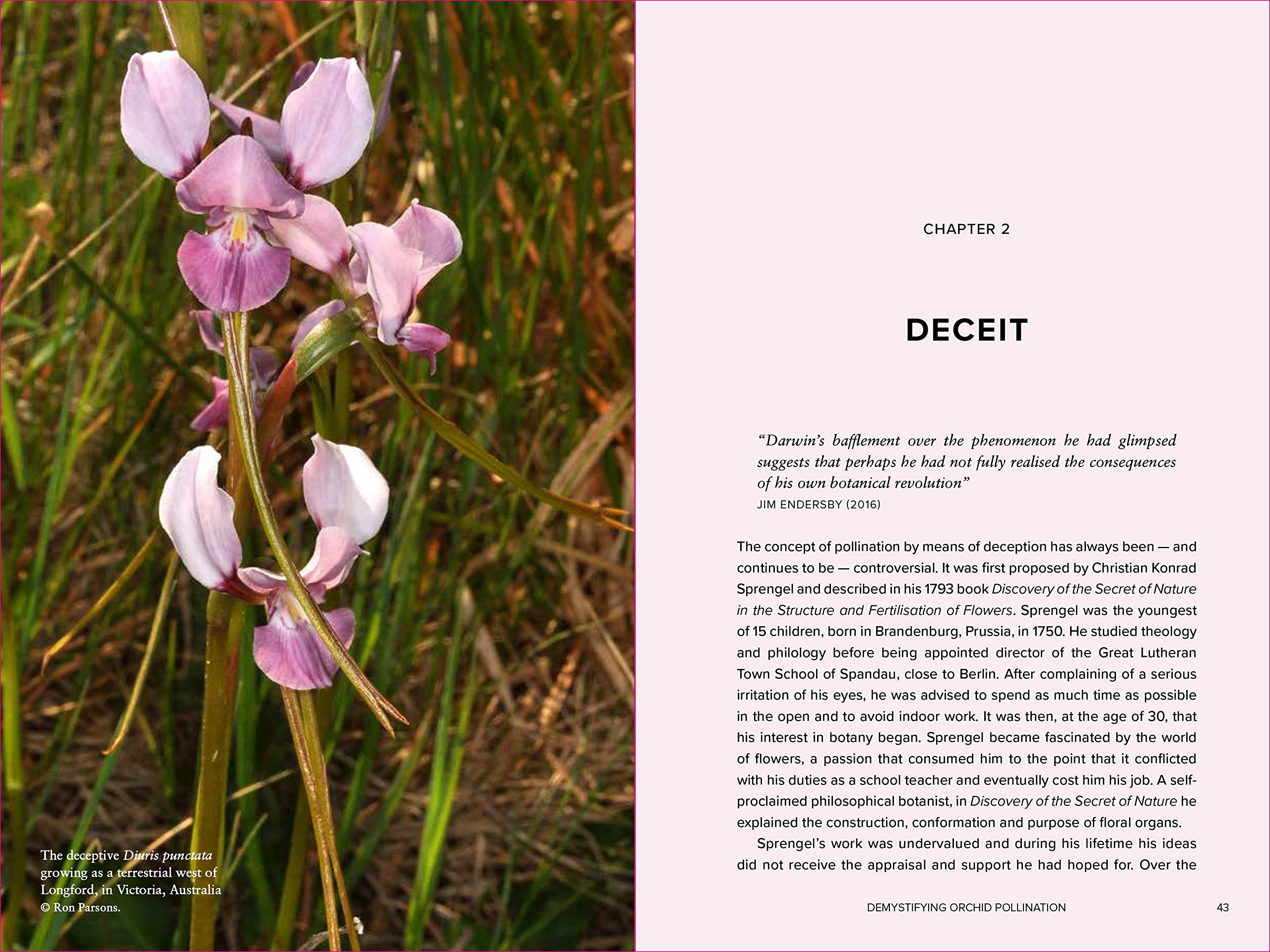 Demystifying Orchid Pollination: Stories of sex, lies and obsession