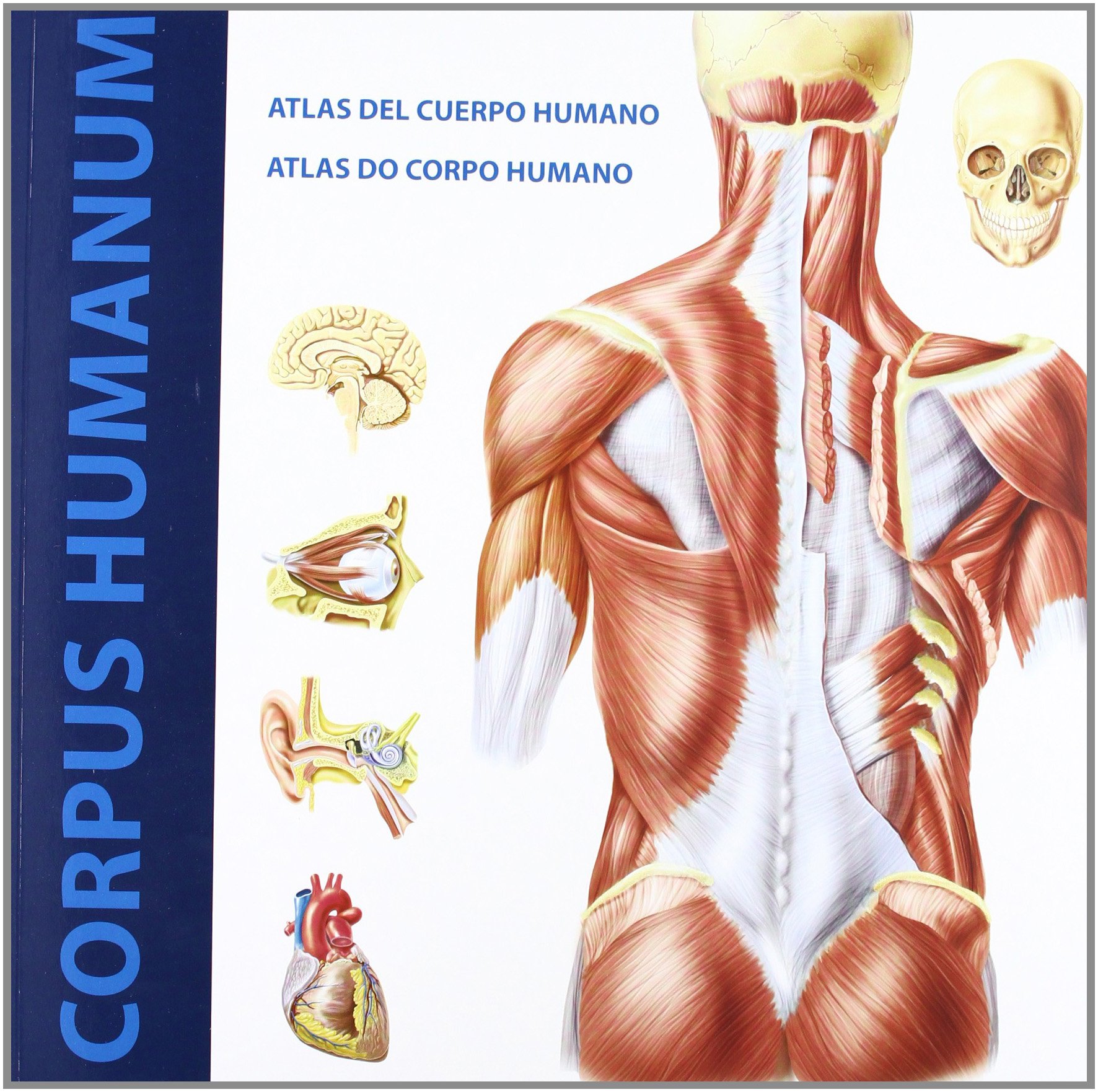 Atlas del cuerpo humano avec planches anatomiques détaillées et explicatives