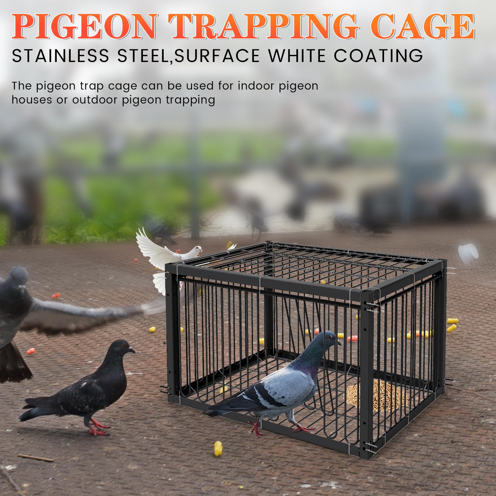 Jaula para palomas, 40 cm, con diseño de entrada numérica y especial para atrapar palomas, pájaros u otros animales pequeños, resistente y duradera, incluye 100 unidades de ataduras, negro