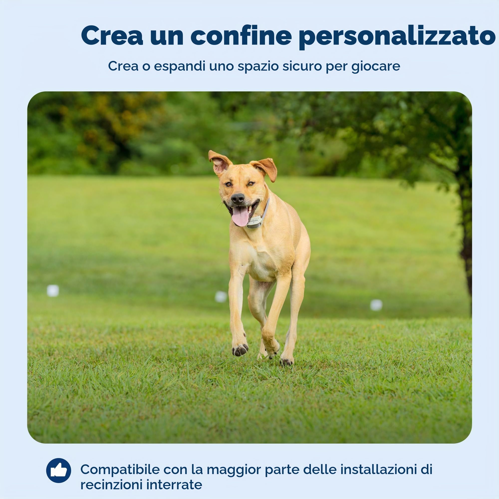 PetSafe Filo per Recinzione interrata per Cani (152,4 m), Crea Il Tuo Confine, Filo per Recinzione elettrica per Cani (Giallo), dalla società Madre di IFB