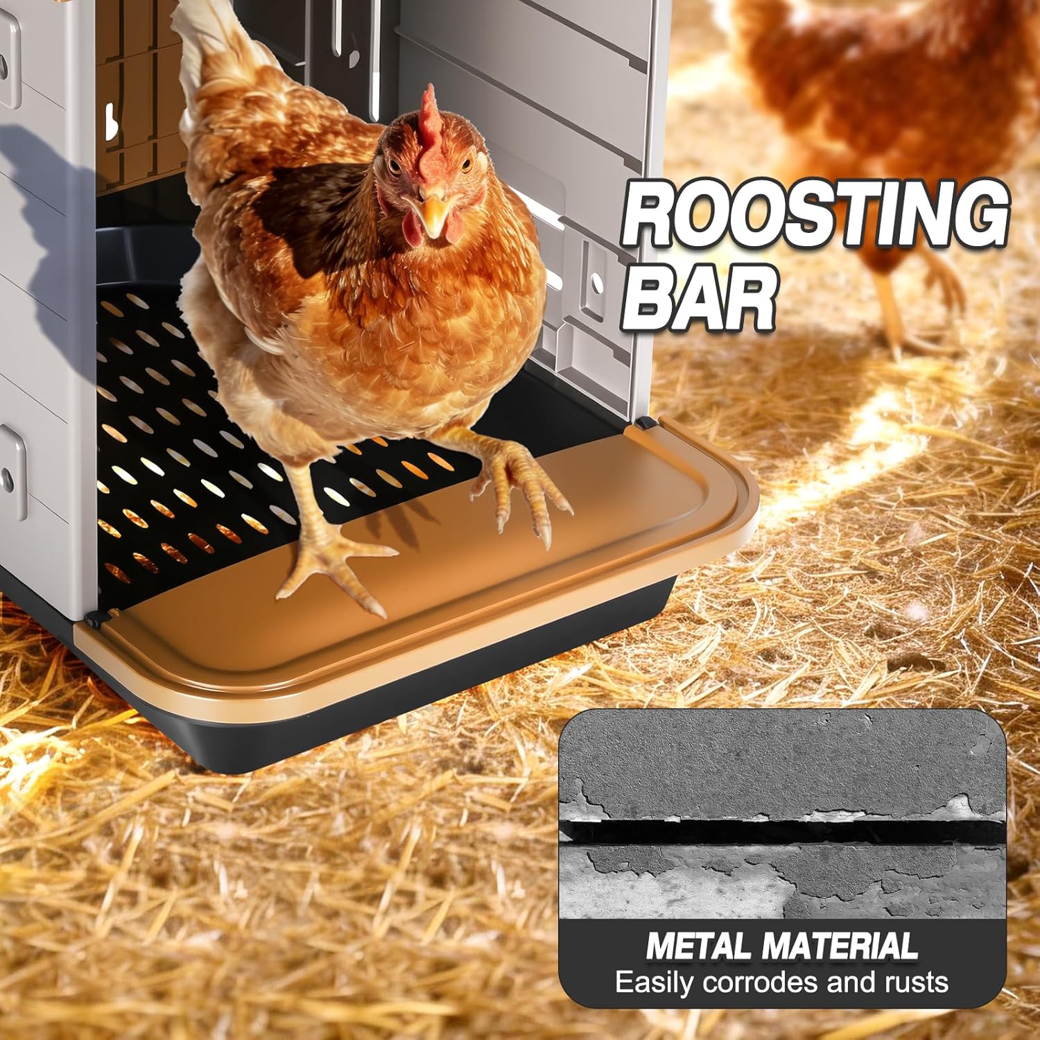 Chicken Nesting Box, 2 Compartment Nesting Boxes for Chickens, Large Chicken Laying Boxes for Egg Collection & Hen on Nest, Roll Away Nesting Boxes Chicken (Extra Large)