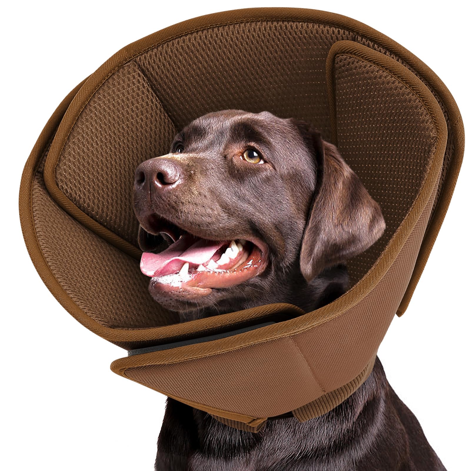 Photo 1 of Queenmore Soft Dog Cone - Coffee