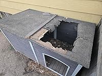 Review Image by danny parker danny parker