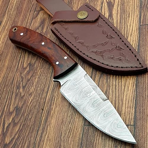 Miniatura 2 de WARIVO KNIFE Cuchillo de caza de Damasco hecho a mano, cuchillo de hoja fija con funda. Cuchillo de supervivencia EDC con mango de palisandro de 10