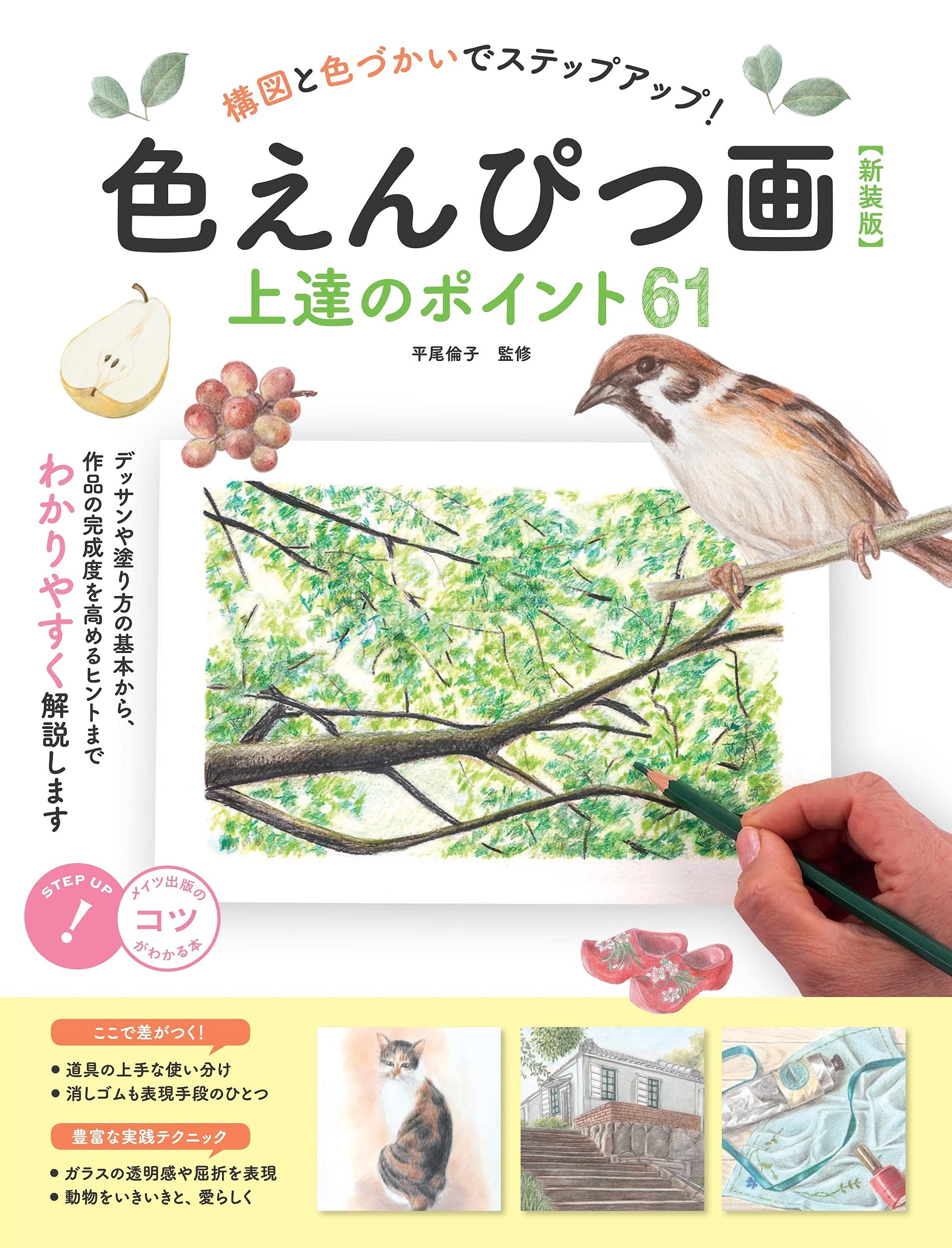 色えんぴつ画 上達のポイント61 節約 新装版 構図と色づかいでステップ