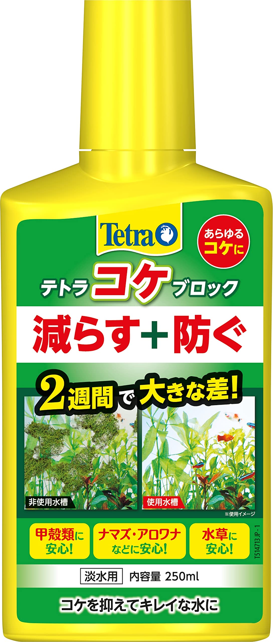 テトラ (Tetra) コケブロック 250ml コケ抑制 既に生えているコケ対…