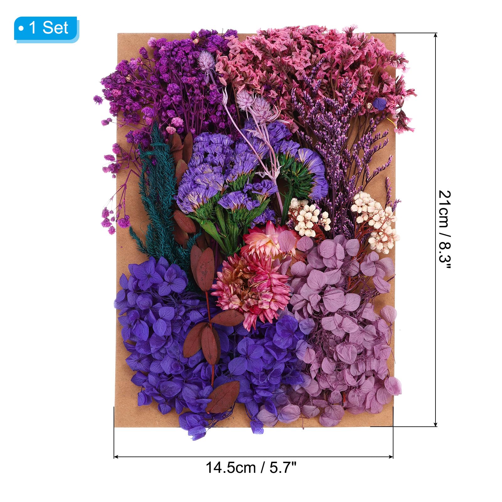 PATIKIL Pressed Flowers for Craft Bulk Dried Flowers Natural Pressed Leaves for Resin Soap Candle Scrapbooking DIY Gift Papermaking - Image 2